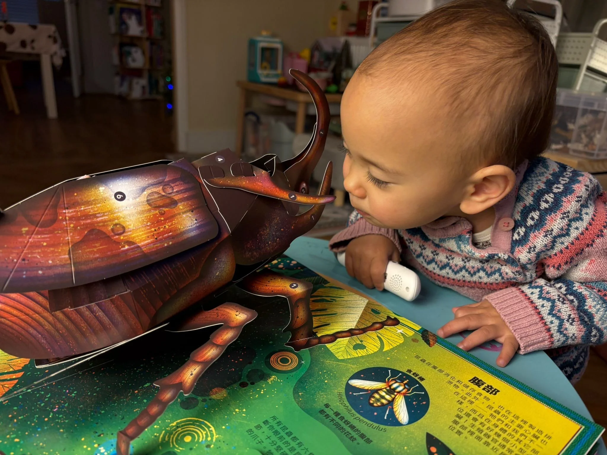 立體互動知識點讀書 |《不可思議！昆蟲驚奇之旅 &amp; 木乃伊神秘之旅》昆蟲立體書 | KIDsREAD點讀筆推薦 