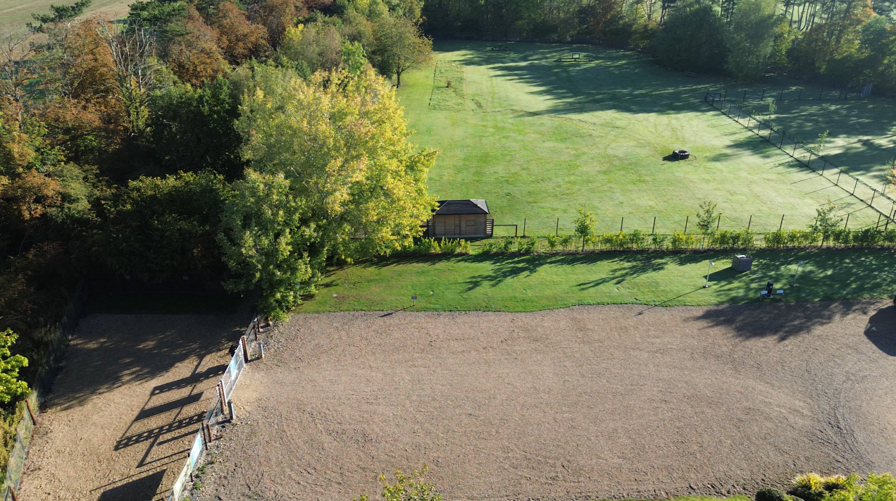 Paws in the Park: Leicestershire's Award-Winning Dog Field