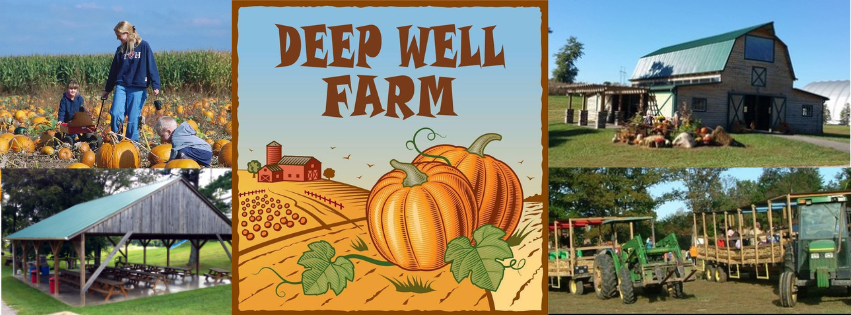 Deep Well Corn Maze &amp; Pumpkin Patch