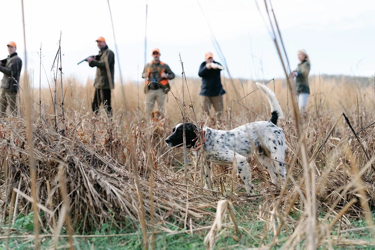 Dove Hunt Weekend