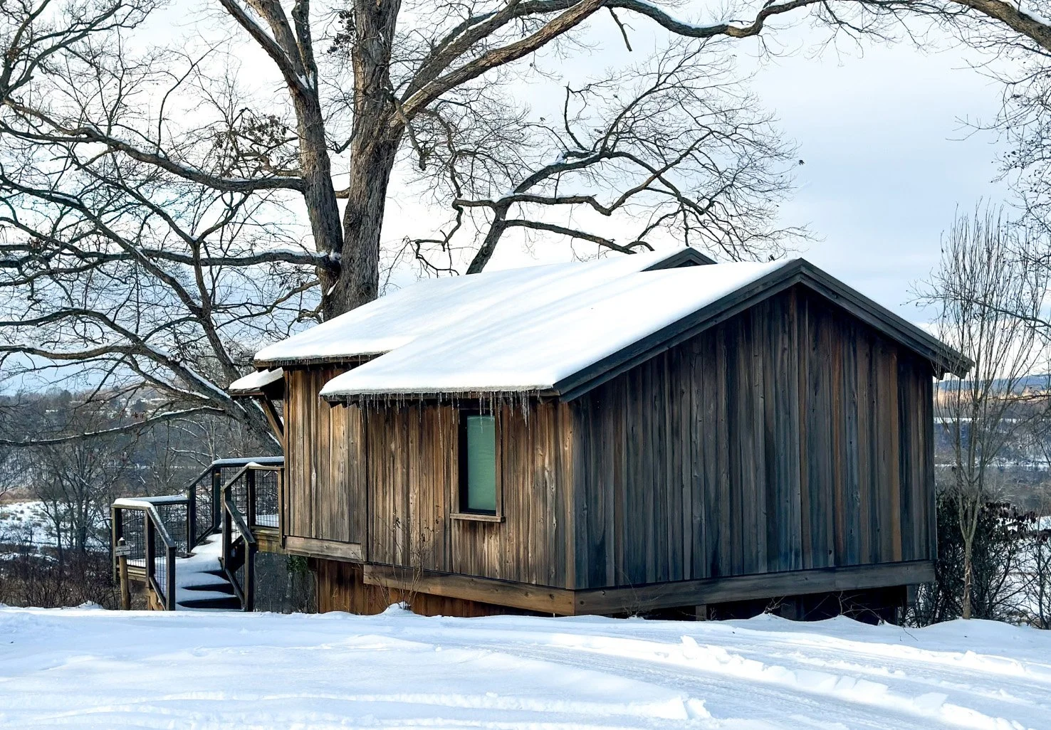 Appalachian Stillness: A Tech-Free New Year 
