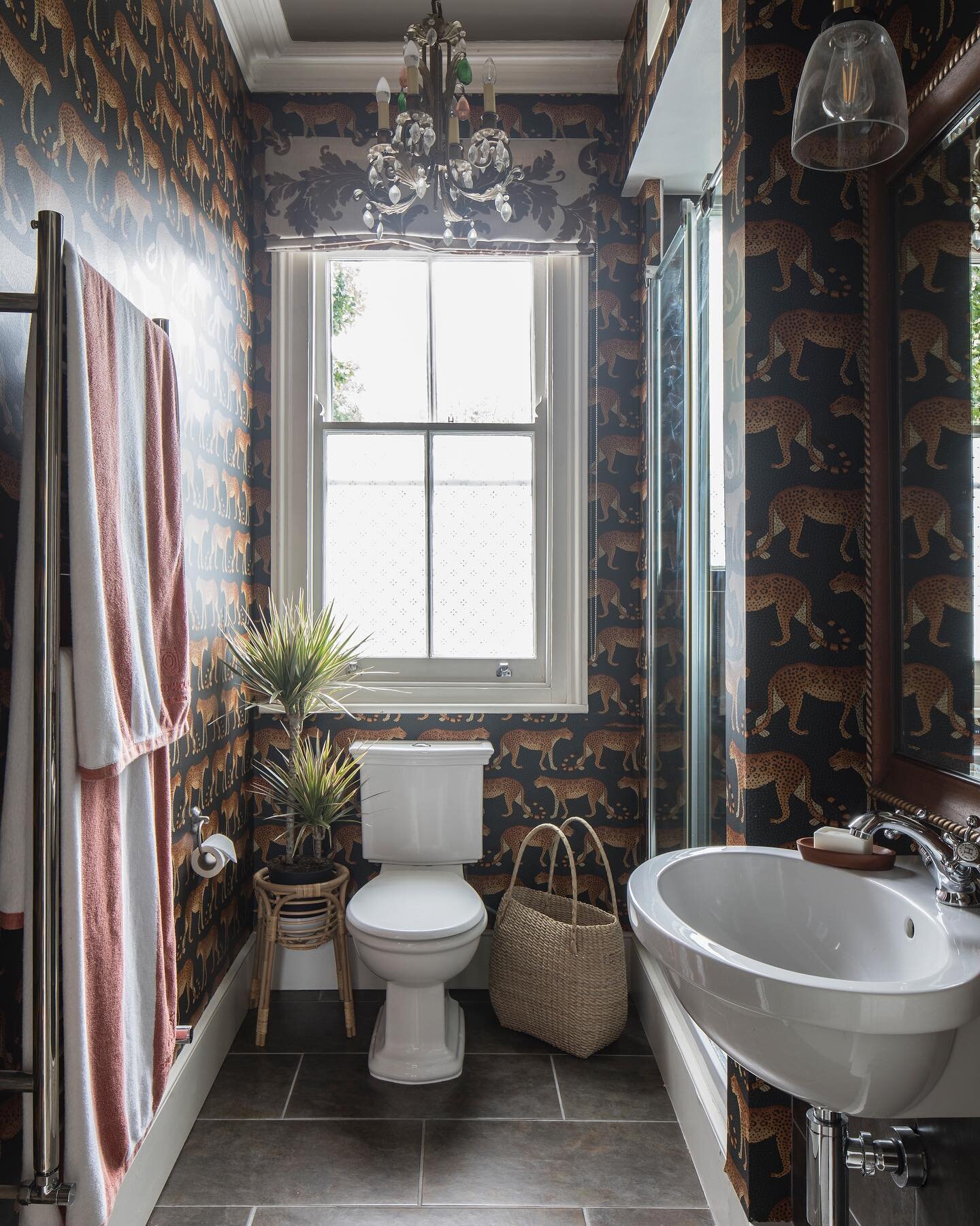The littlest room in the house and it packs a punch with my most favourite of favourite wallpapers &lsquo;Leopard Walk&rsquo; @cole_and_son_wallpapers @ardmore - I am lucky enough to have grown up in KwaZulu-Natal, South Africa, not far from the incr