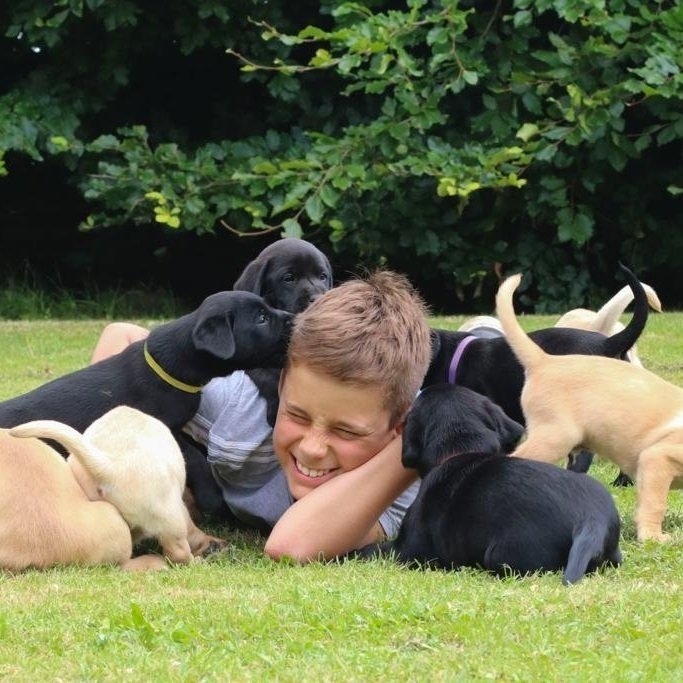 Pets