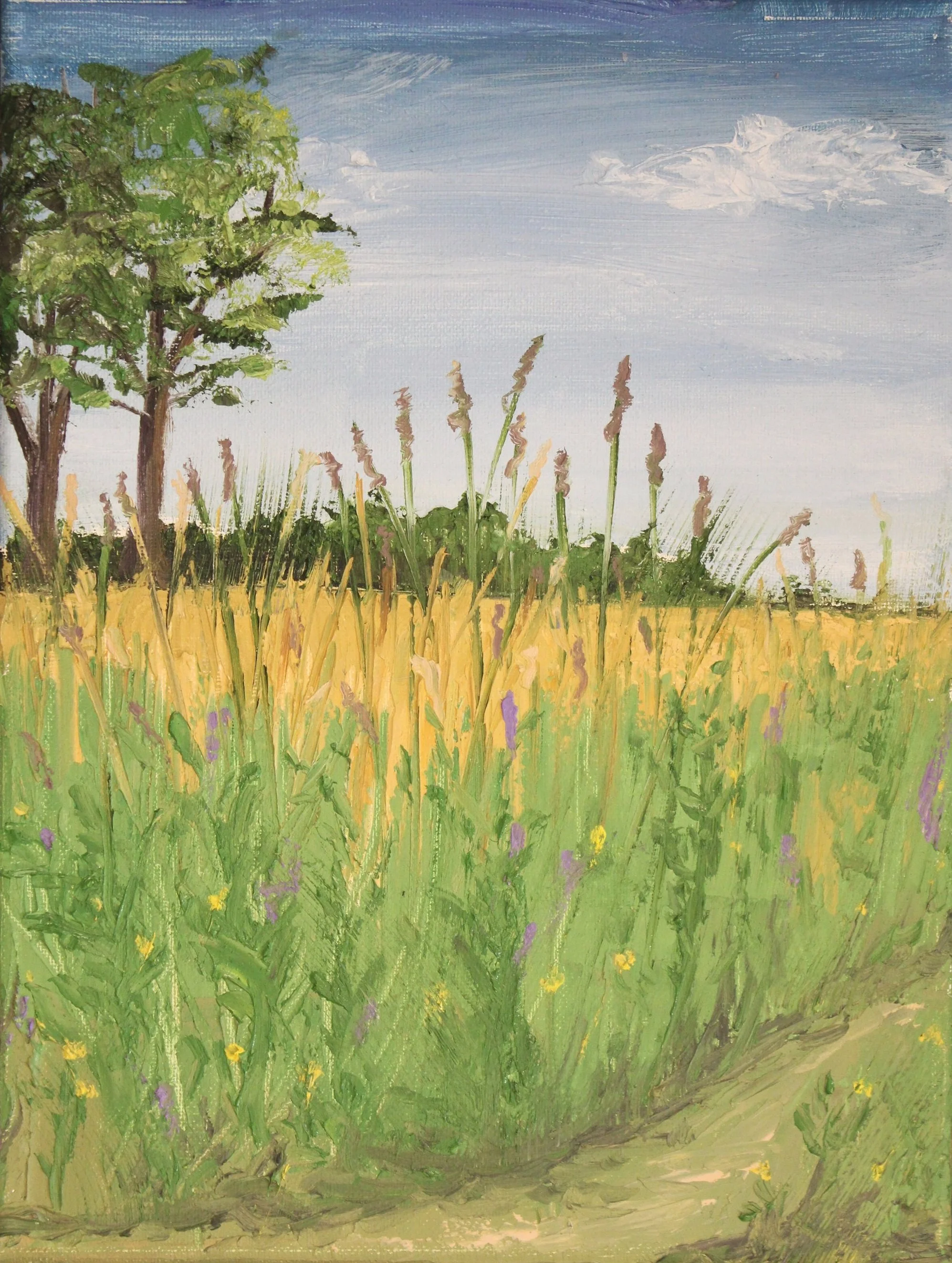 Boston Backyard, Oil on Canvas, 2022