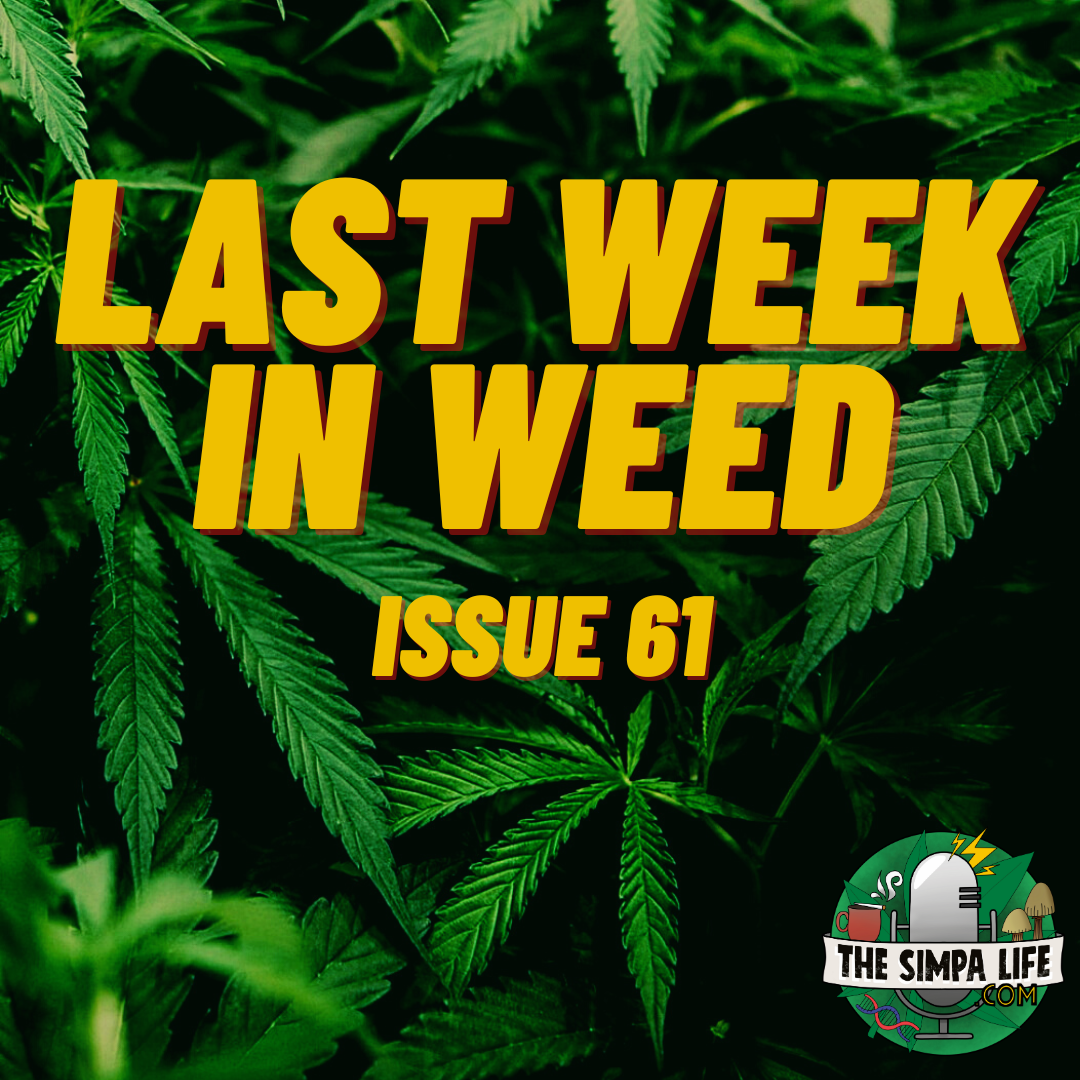 Last Week In Weed  Issue 61