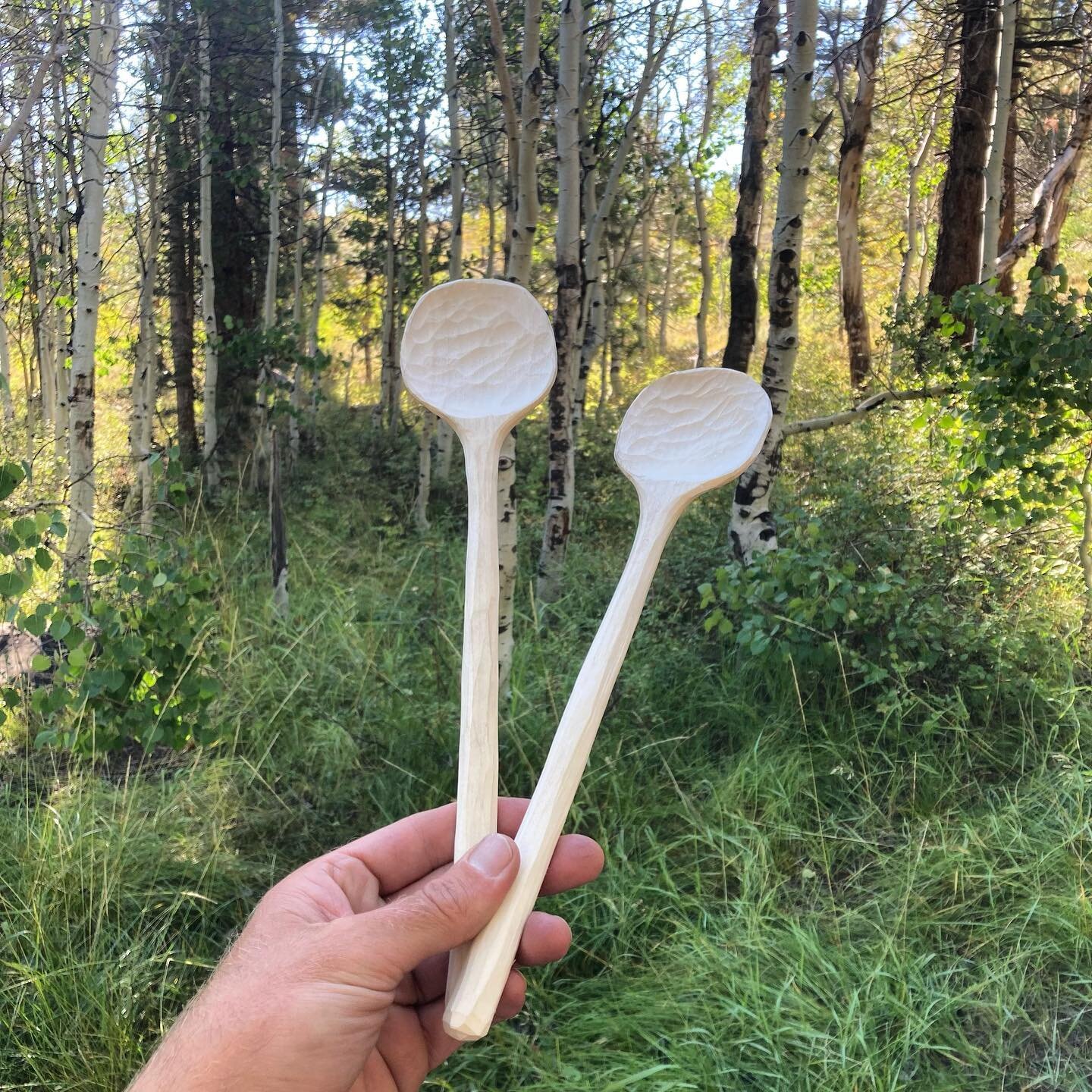 Spoons in the wild ✨