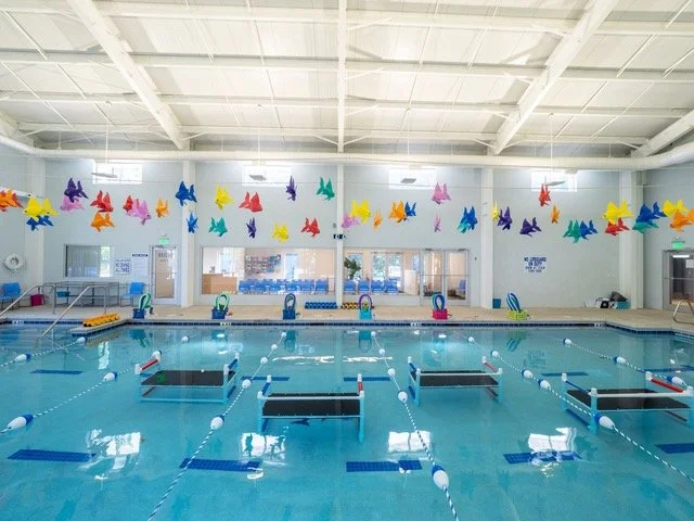 Contact — Brighton Swim Academy
