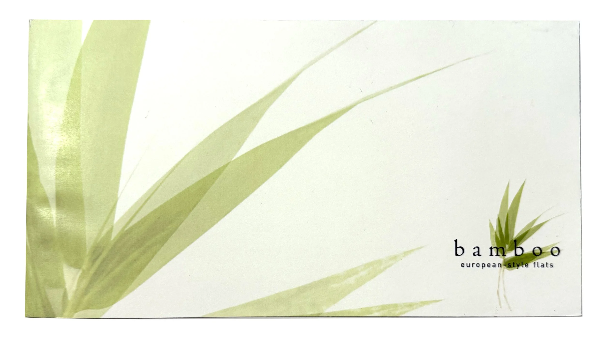 Bamboo.jpg