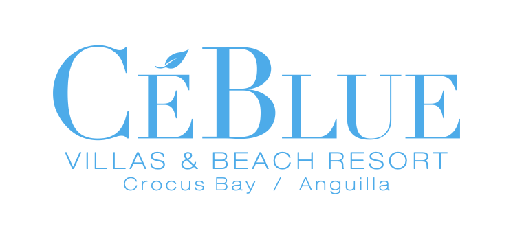 CeBlue Logo.png