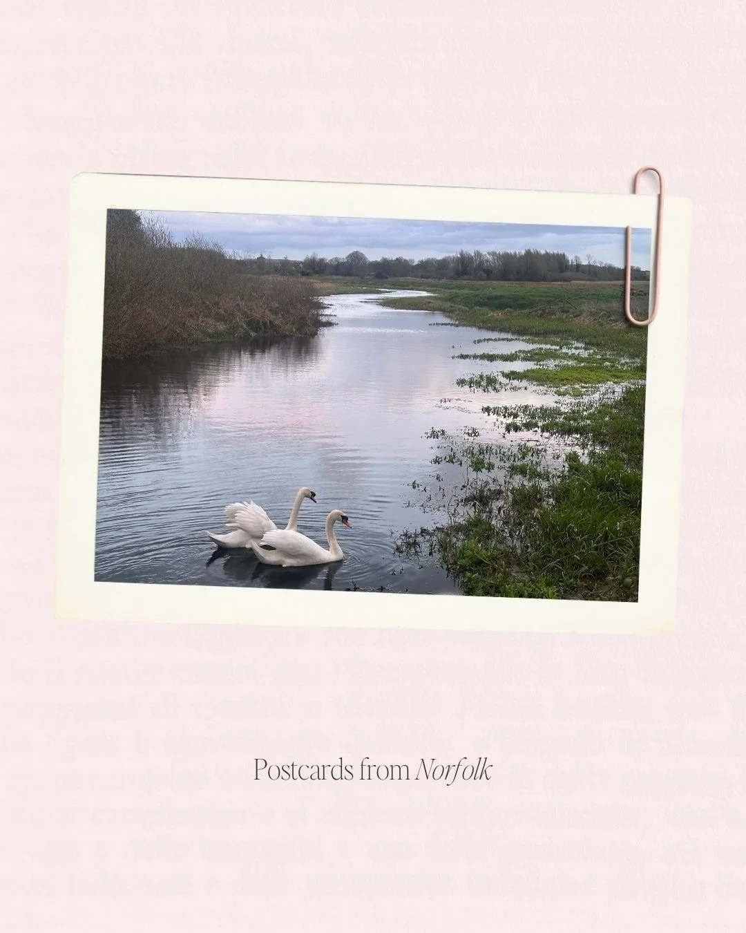 A few days off for us in lovely Norfolk and a slightly slower pace over the Easter holidays.
⠀⠀⠀⠀⠀⠀⠀⠀⠀
This is something I make a priority to plan for - creating a business that allows for more spaciousness over school holidays, because for me, succe