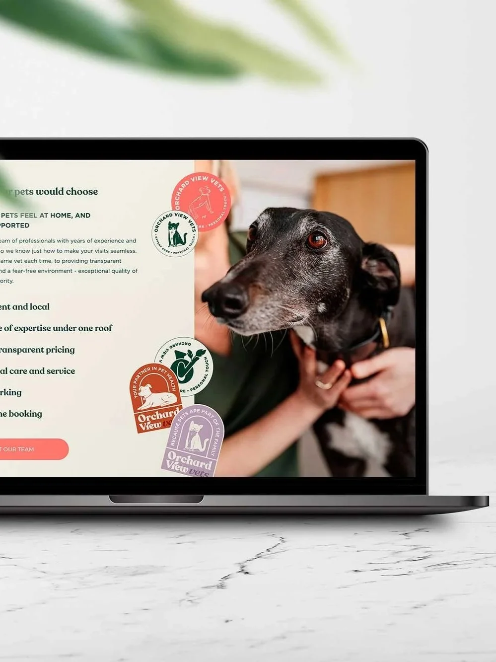 Cotswolds Website Design for Independent Vets 
