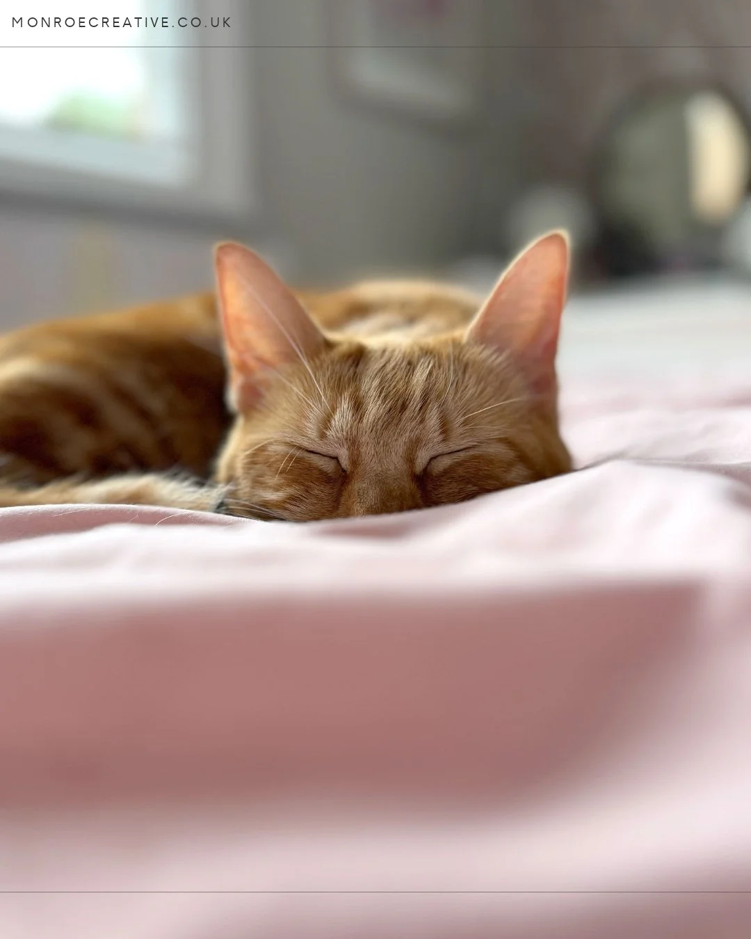 This is my cat Sunny - she can slow down without feeling guilty, why can&rsquo;t I?! 🐾

I&rsquo;ve had to take an unplanned day off today with an unwell daughter iff school. I find stopping, slowing down and resting SO hard - partly it's the way my 