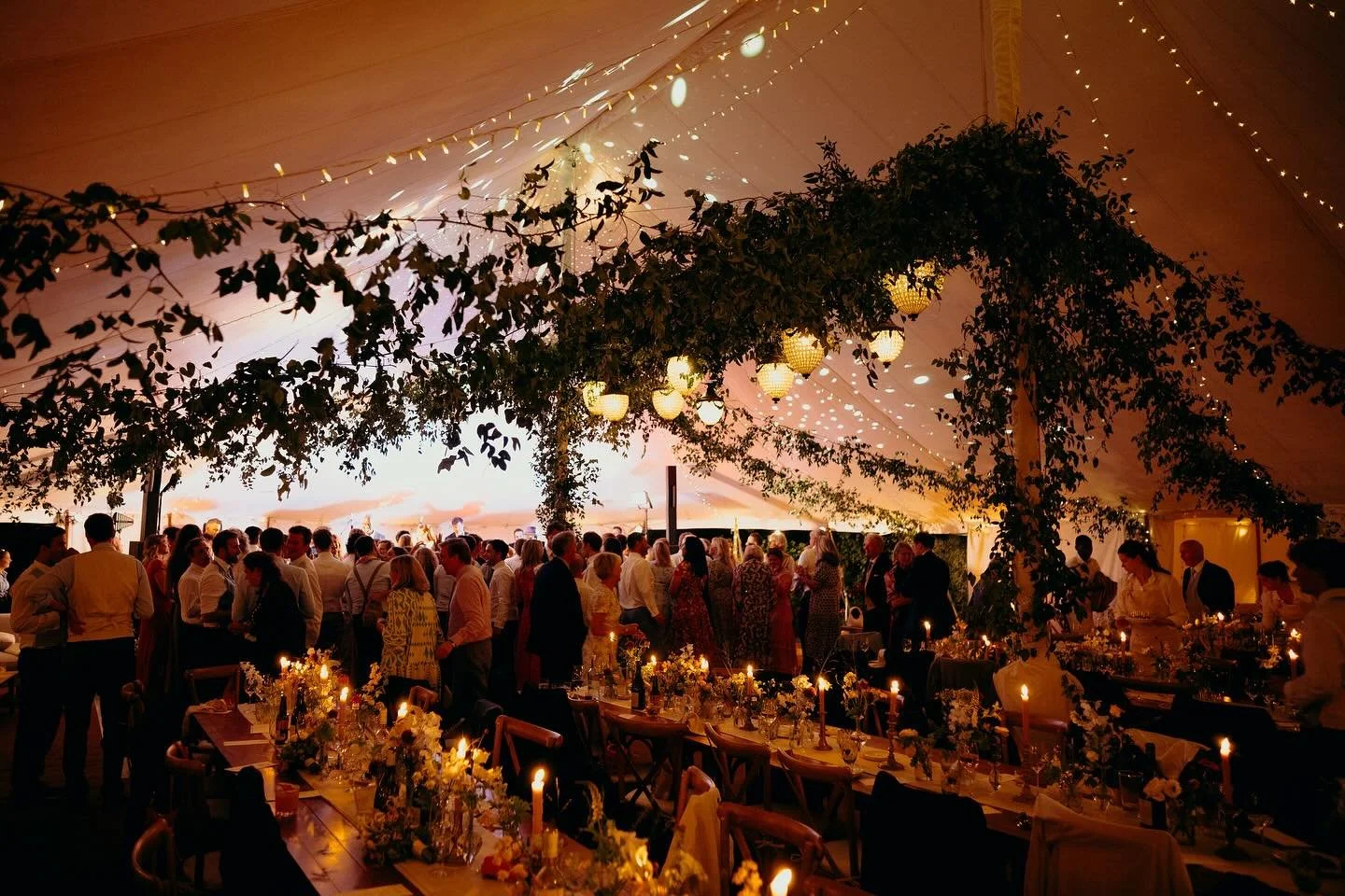 Golden ✨
#wedding #weddingplanning #styling #design