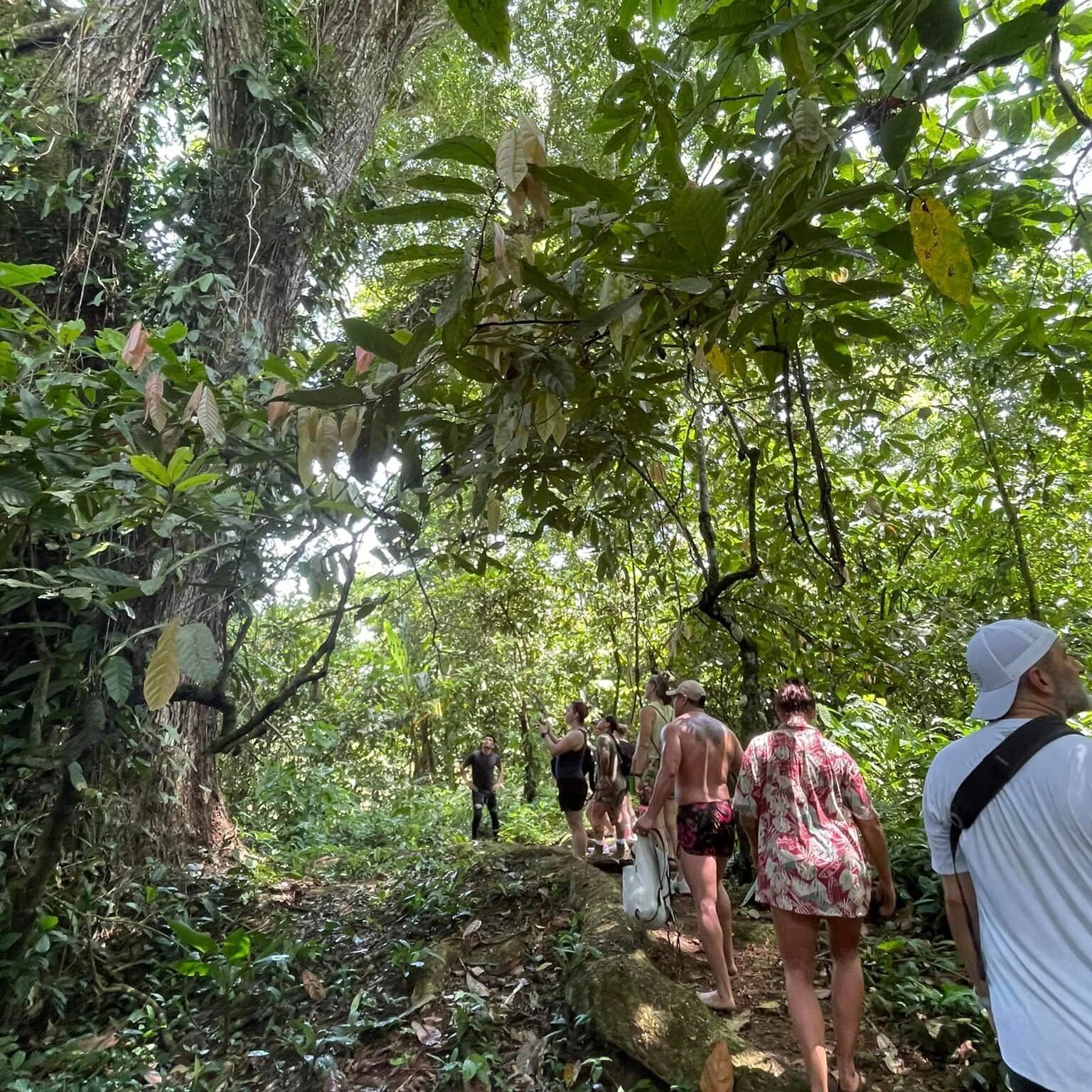 This month, Planet Rehab is thrilled to have hosted a short Expedition in Bocas del Toro, Panama.  A group of 12 US veterans from LiboRisk joined us for an inspiring 2 day stay including tours of Green Acres Chocolate Farm, planting Almendro trees, a