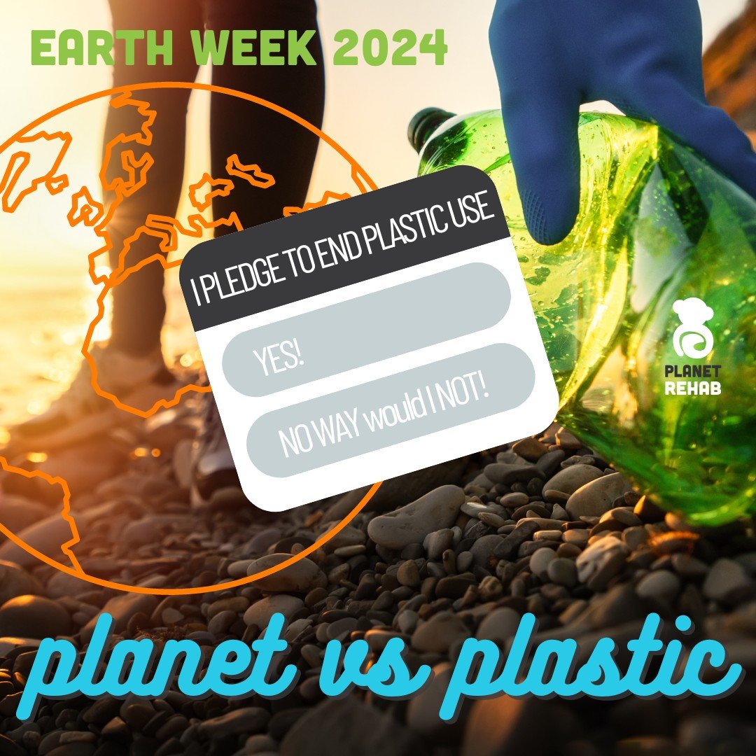 Take the pledge to end plastic. Link in Bio: planetrehab.org/plastic-pledge

Plastic pollution is a global issue that destroys environments, diminishes biodiversity, increases global warming, and harbors immense potential to impact human health. Stud