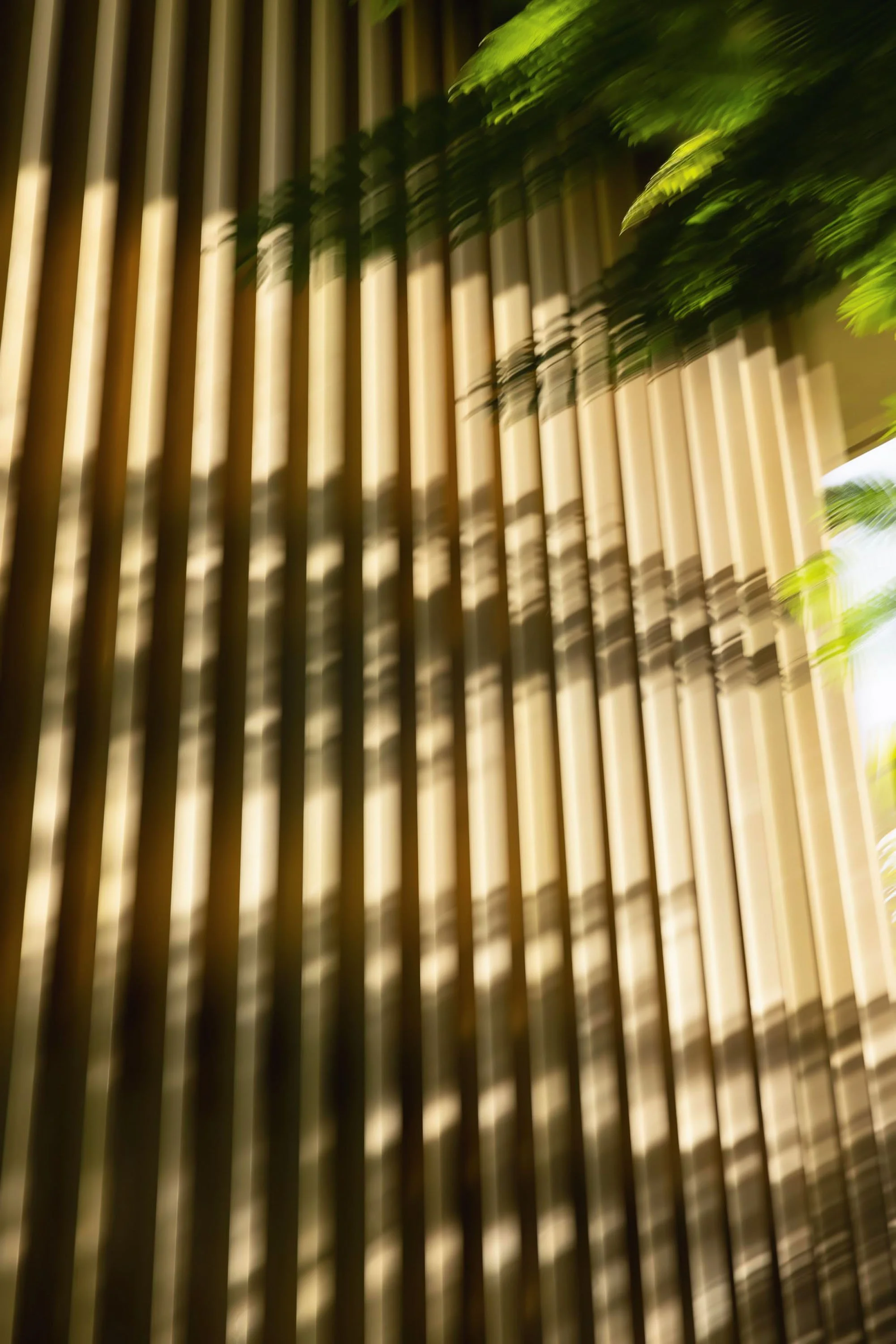 FourSeasons_CostaRica_JennaAlcala_Finals_Retouched_056.jpg