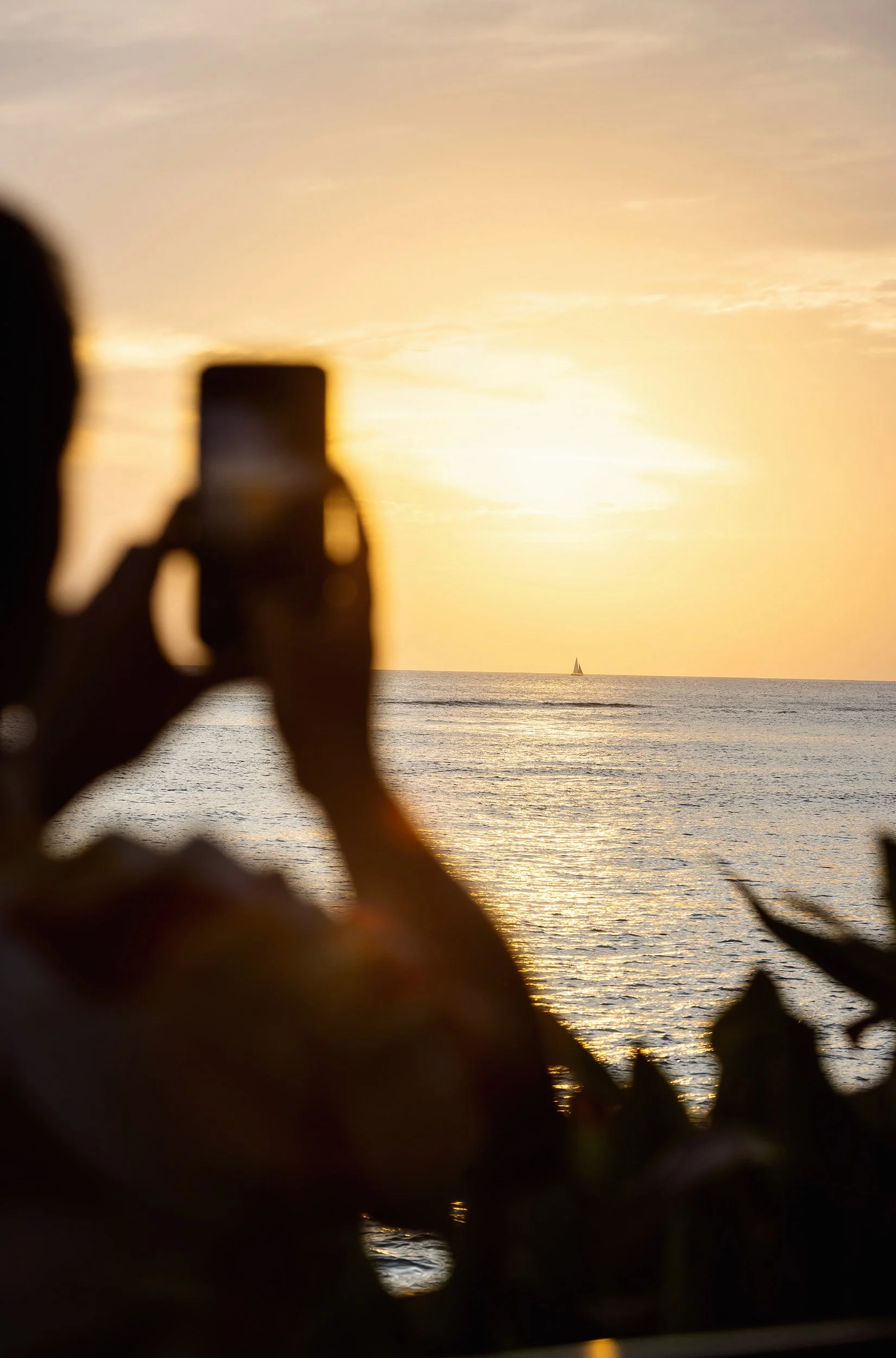 Moana_Surfrider_Jenna_Alcala-045_WEB 1.jpeg