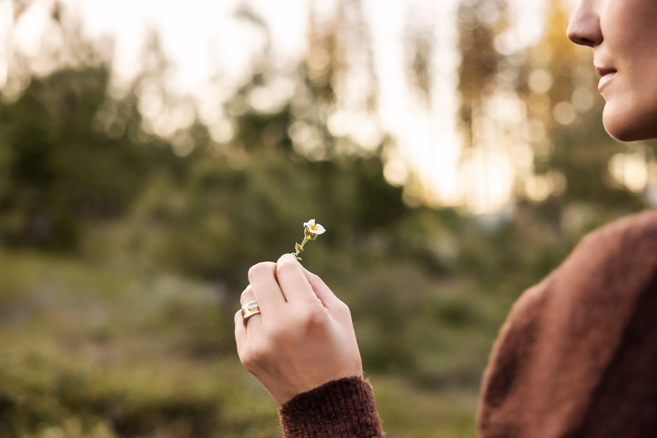 Under_Canvas_Jenna_Alcala_316_WEB.jpg