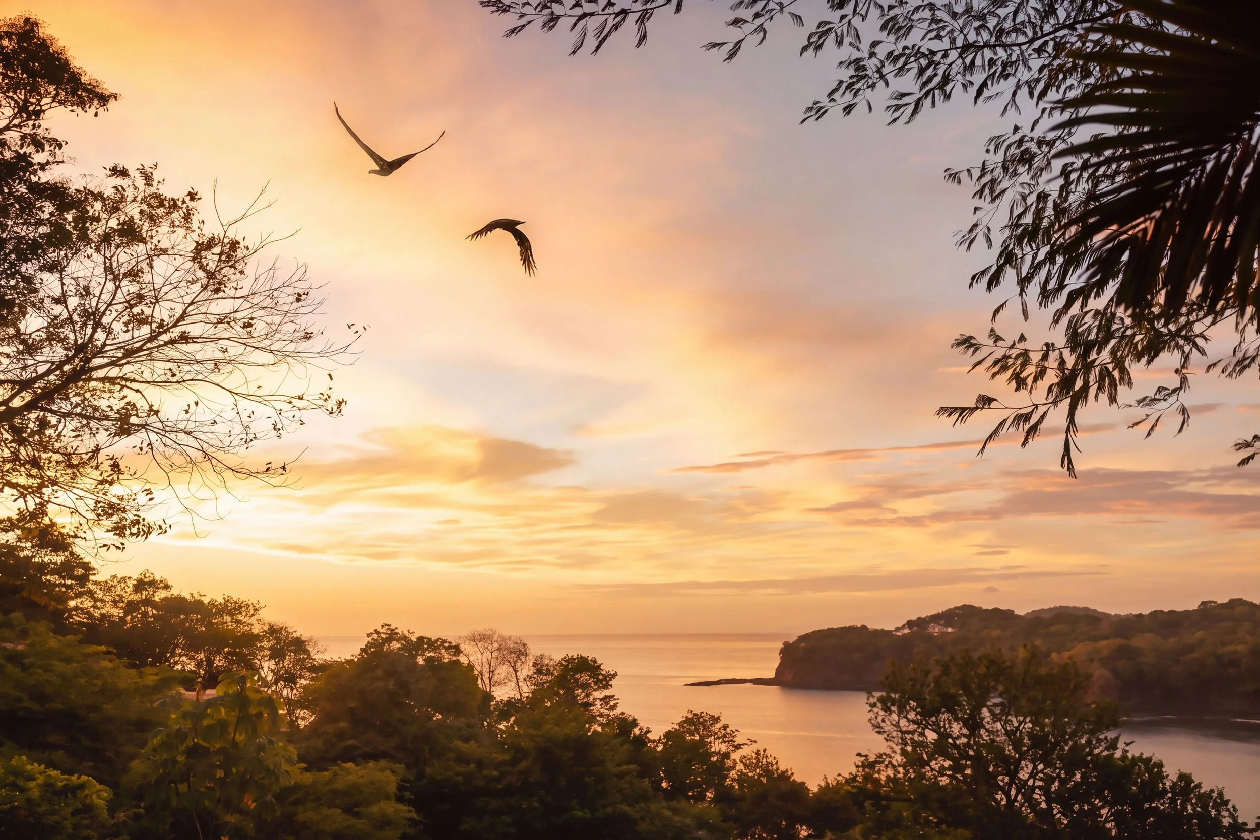 FourSeasons_CostaRica_JennaAlcala_Finals_Retouched_115.jpg