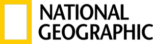 National+Geographic+Logo+-+Transparent.png