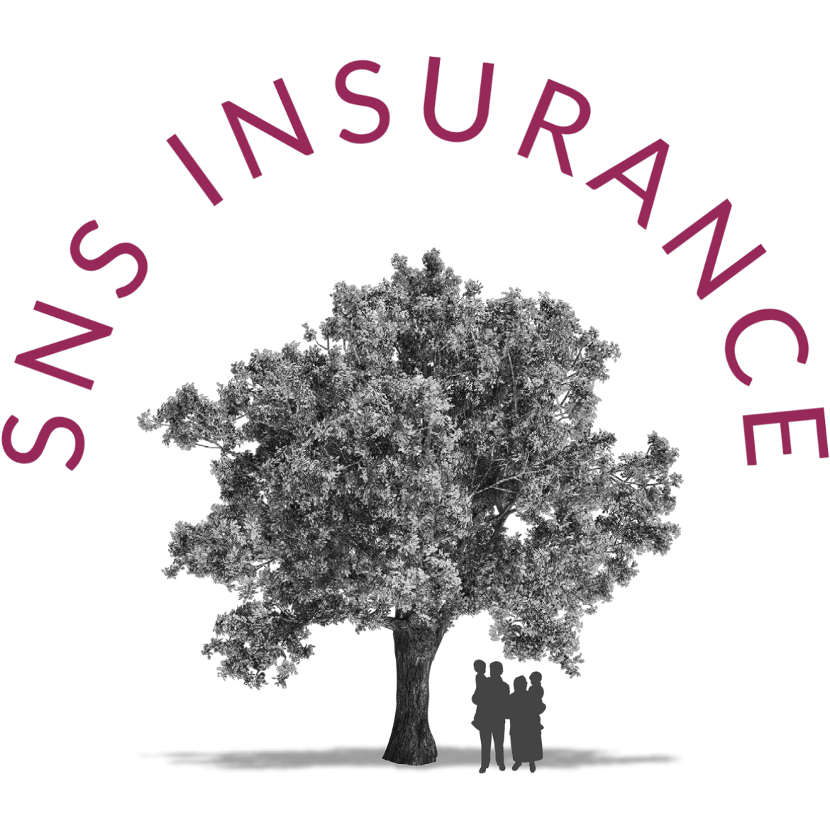 Salgado n&#39; Son Insurance
