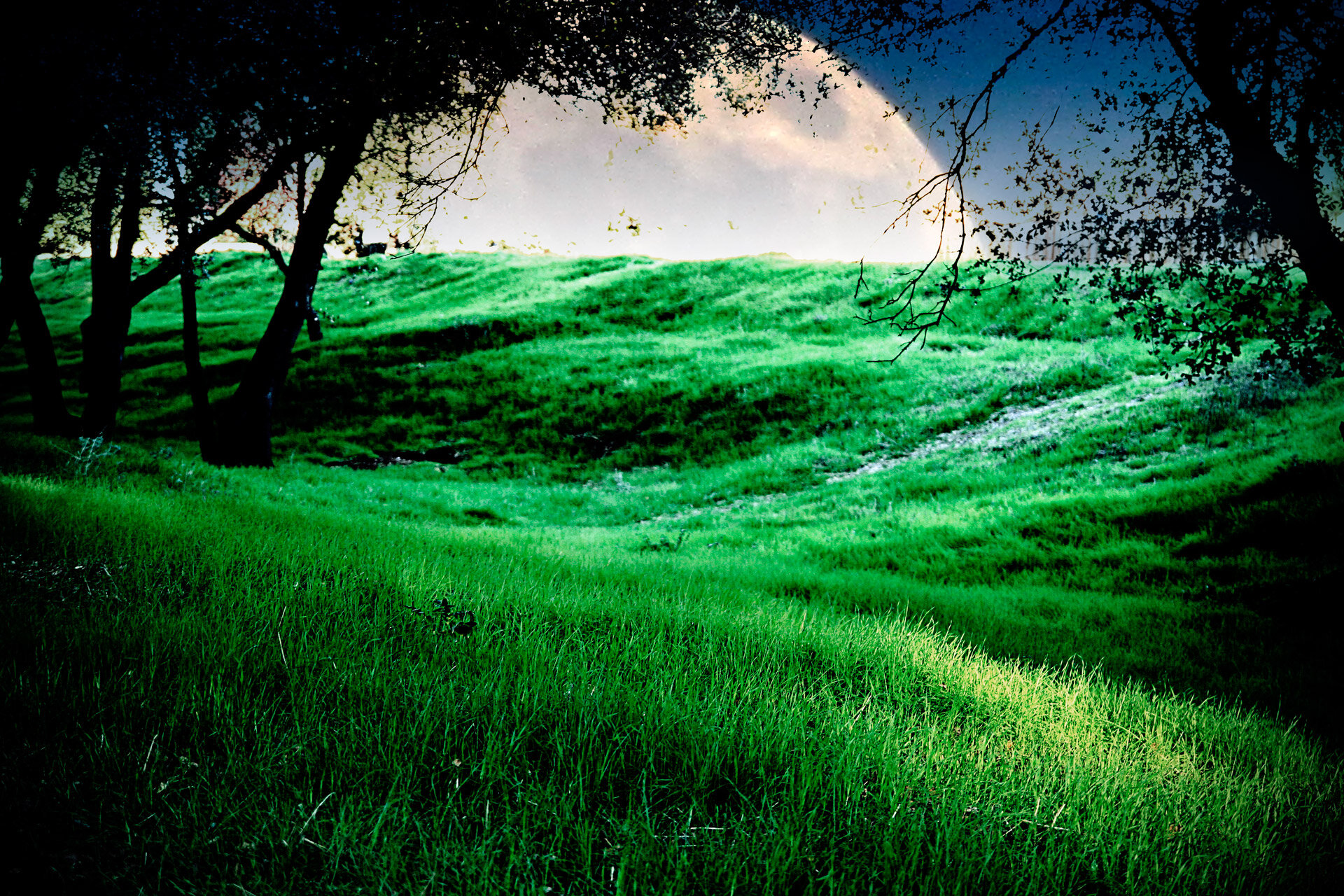 In Defense of Escapism: Tolkien’s Principles of Fantasy