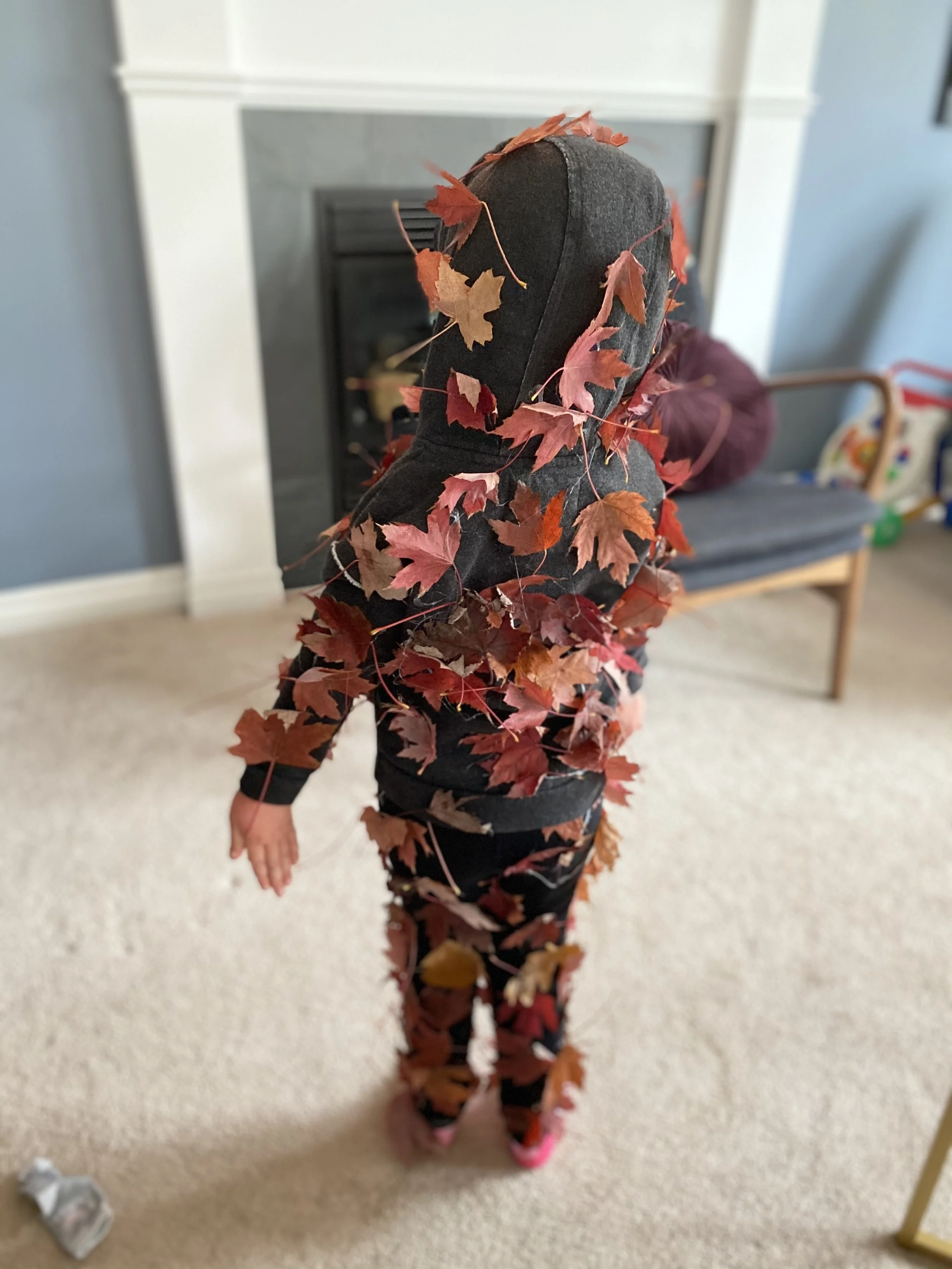 IMG_6522.jpeg
