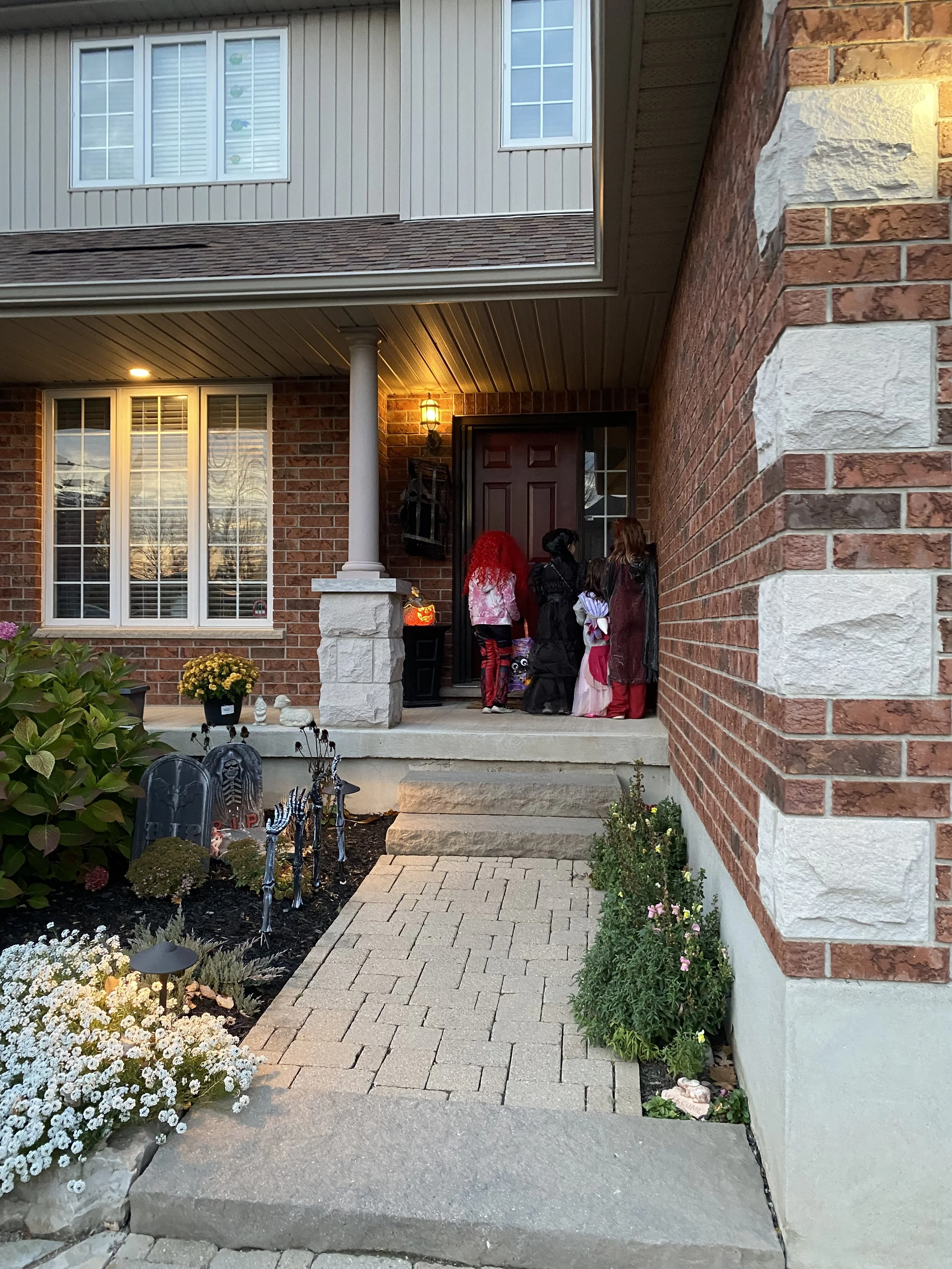 IMG_1110.jpeg