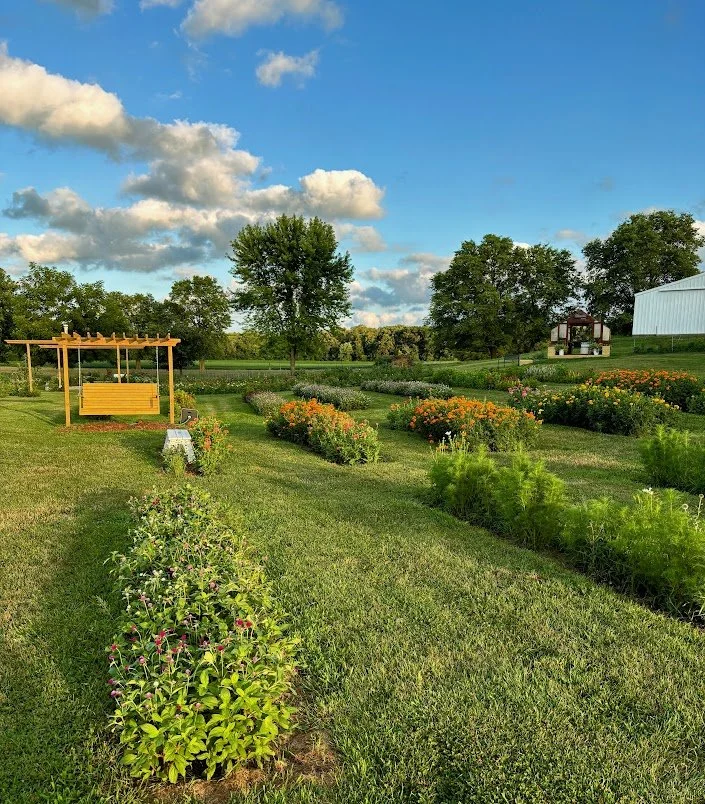 flower swing in flower field