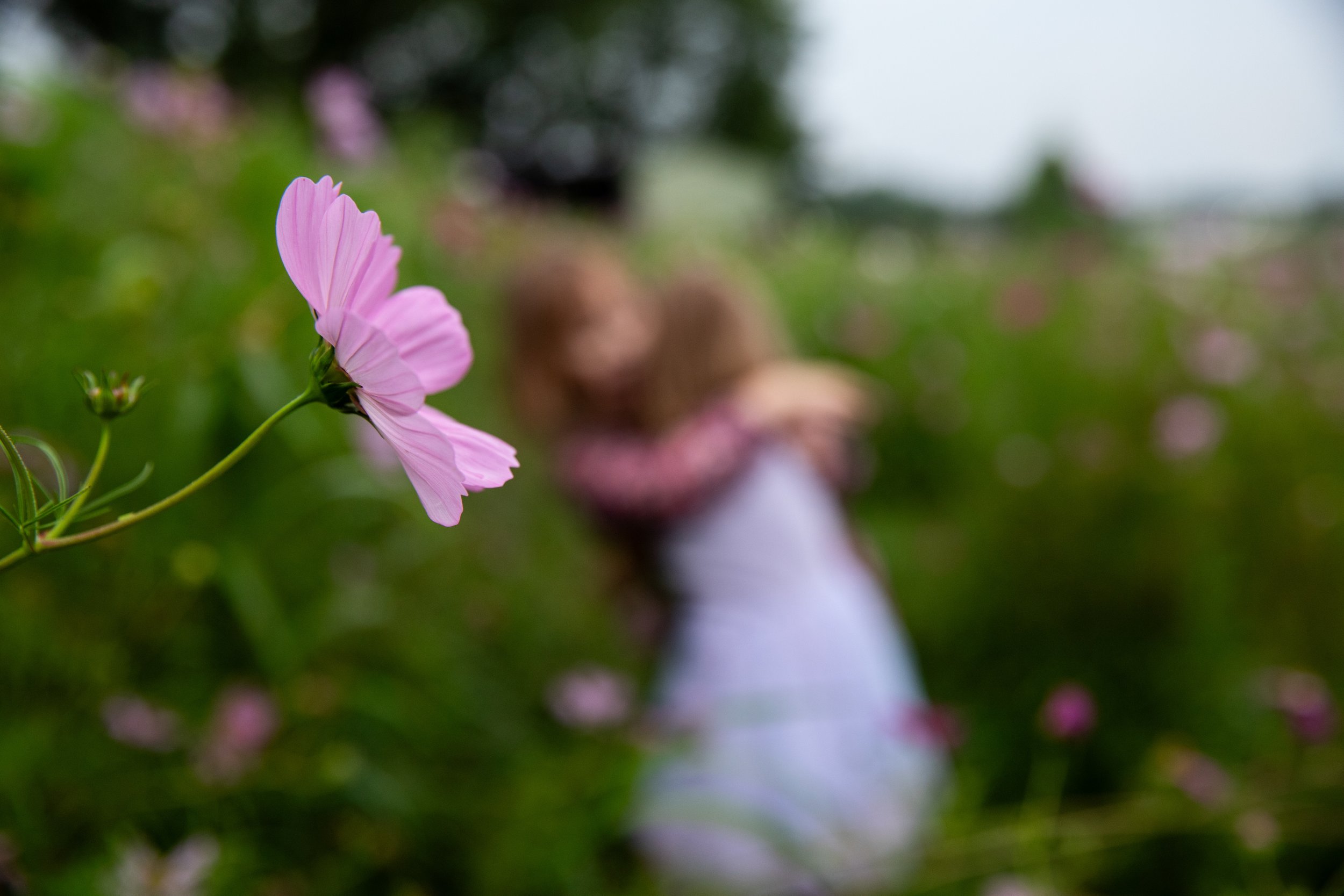 A close-up of a pink flower with a blurred green background.