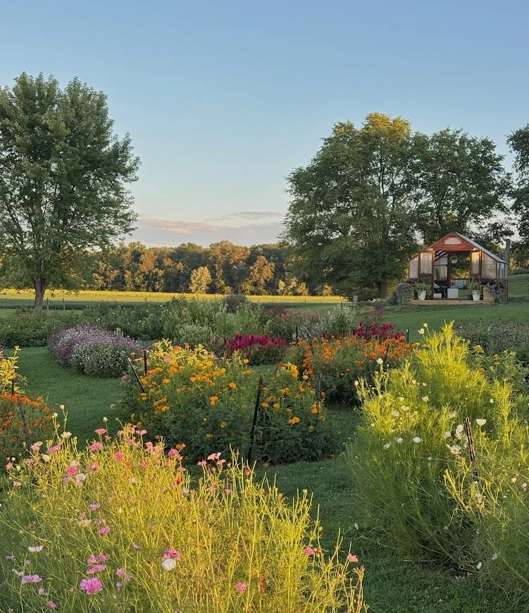 flower field and flower cottage