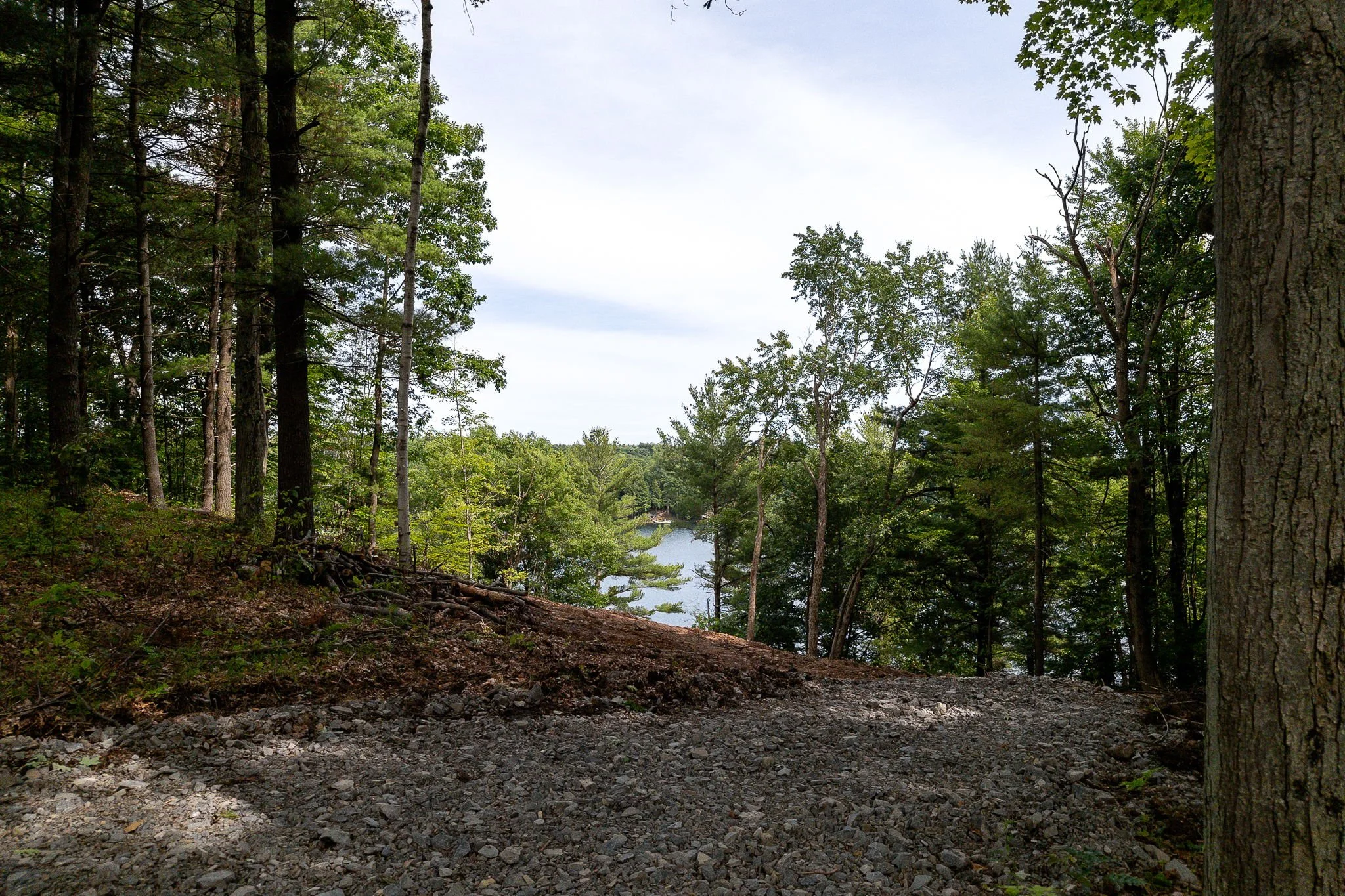 A forest trail overlooking a lake with several trees and a partly cloudy sky.