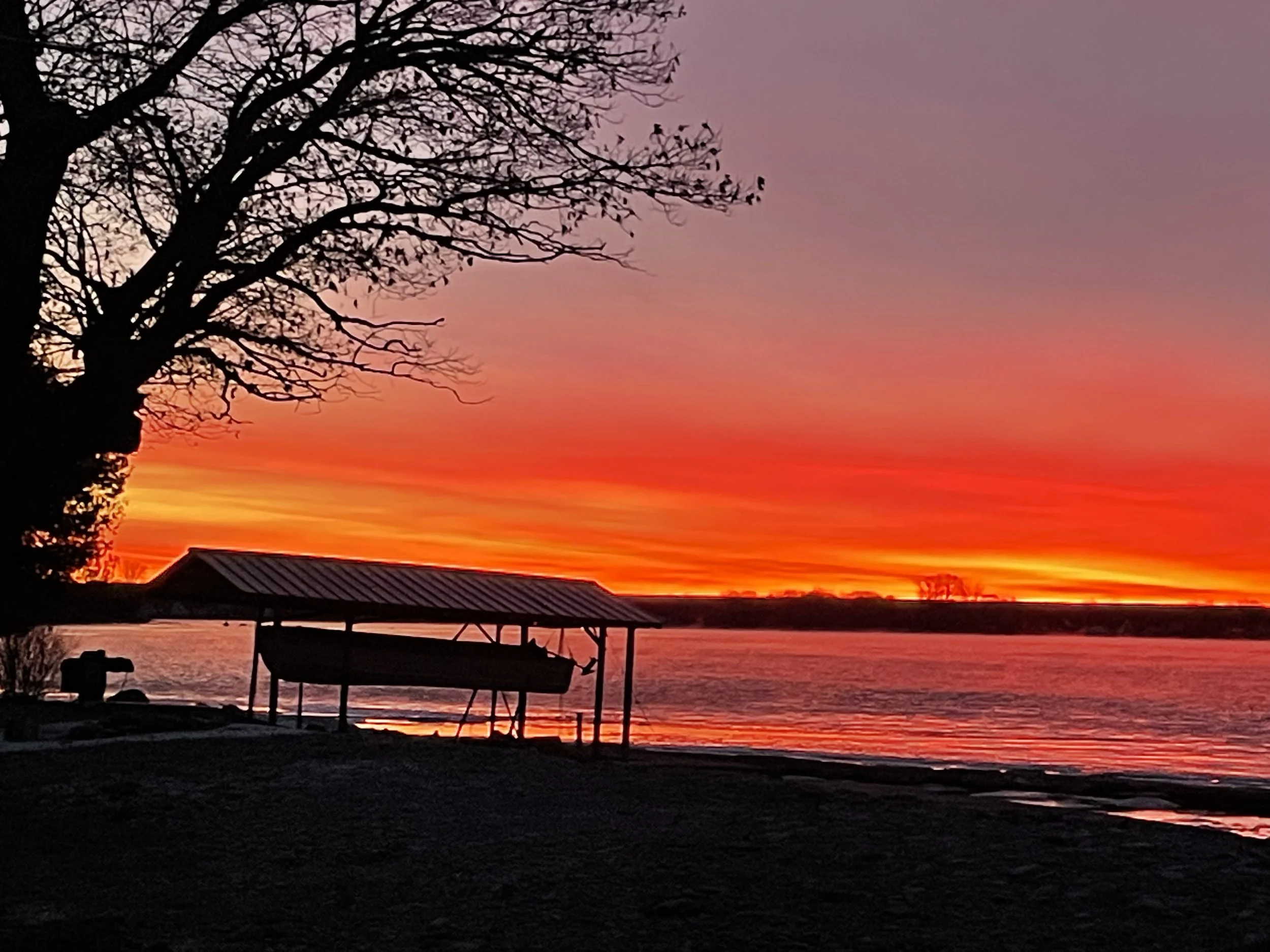A vibrant sunset over a body of water with orange, yellow, pink, and purple hues in the sky. A large leafless tree with branches extending towards the sky on the left side, and a small boat on a shelter on the shore.