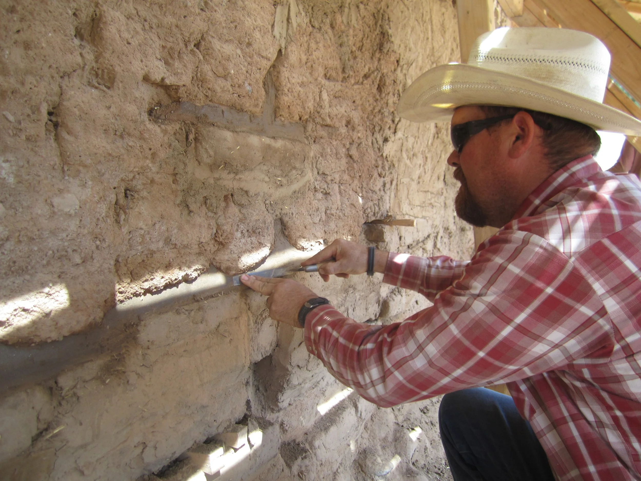 Palmerita IMG_2330.JPG