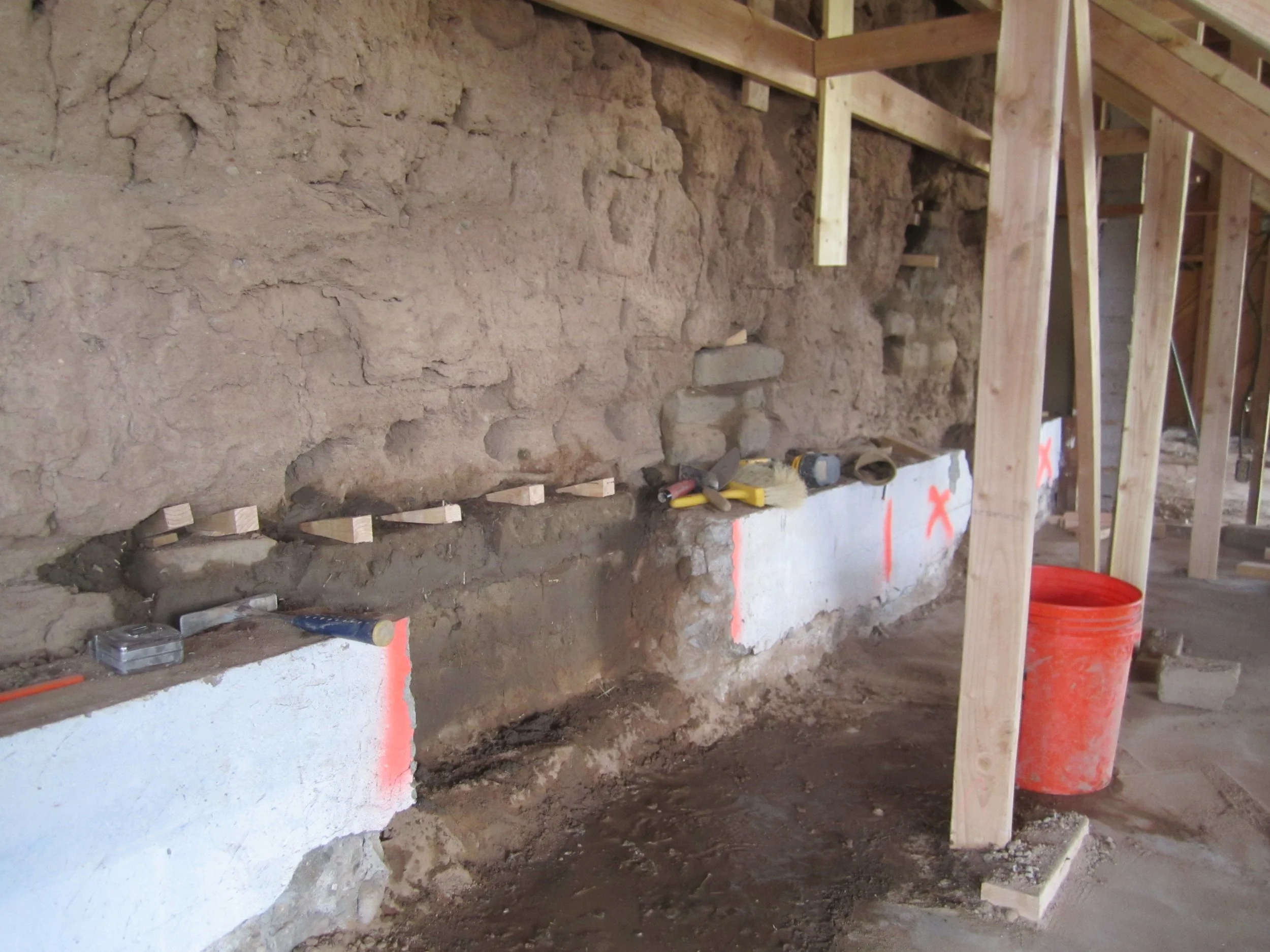 Palmerita IMG_2317.JPG