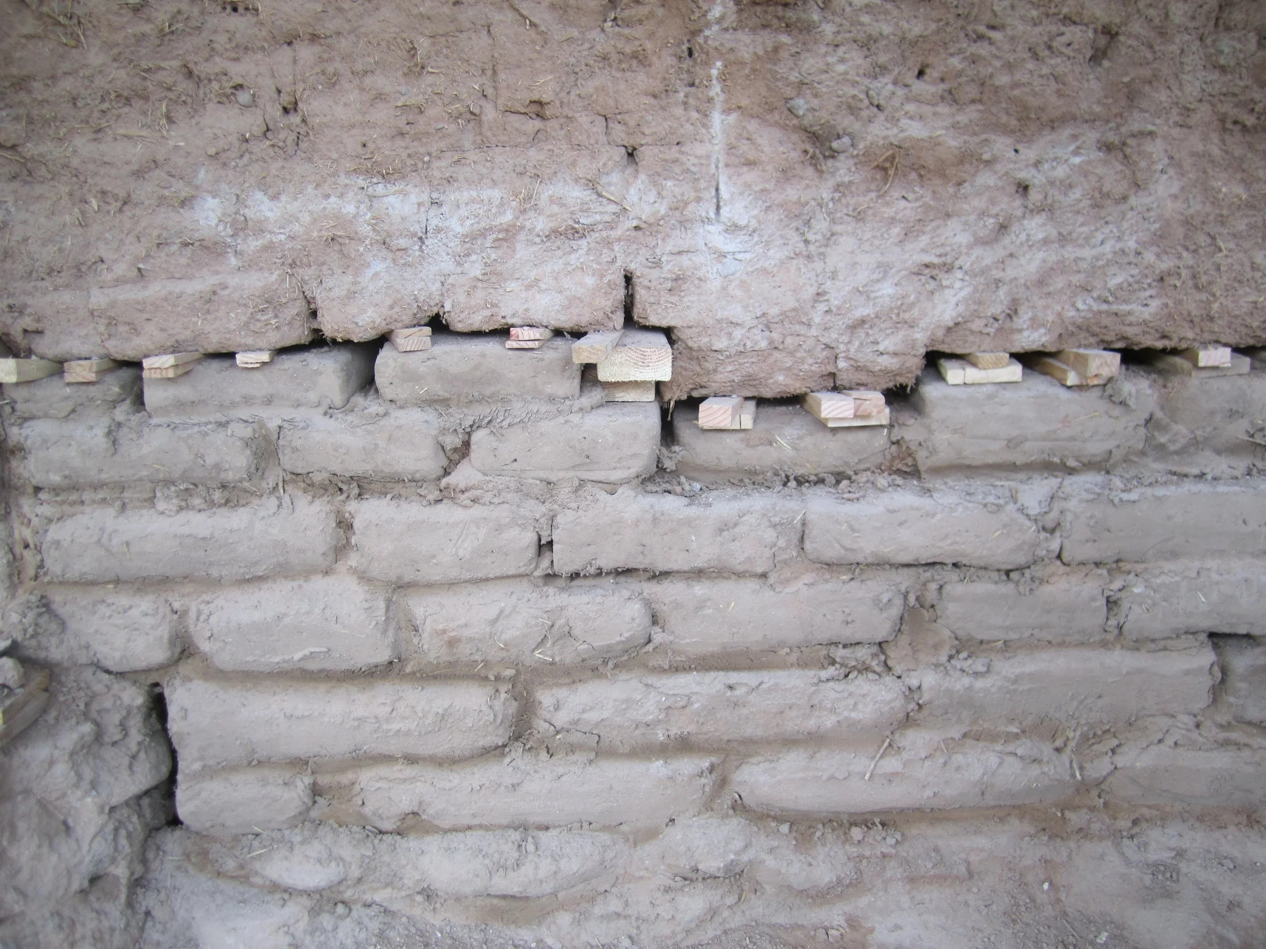 Palmerita IMG_2320.JPG