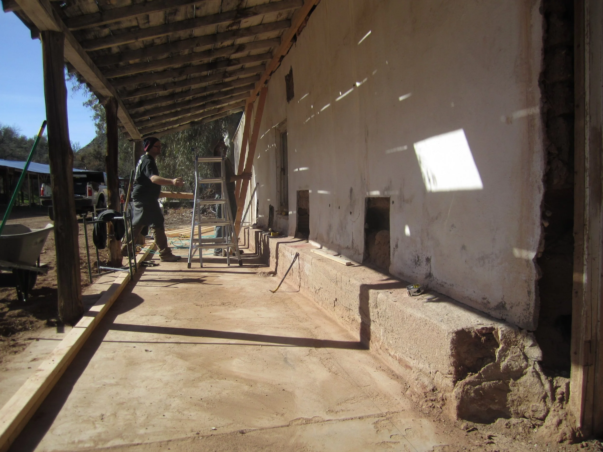 Palmerita  IMG_1857.JPG