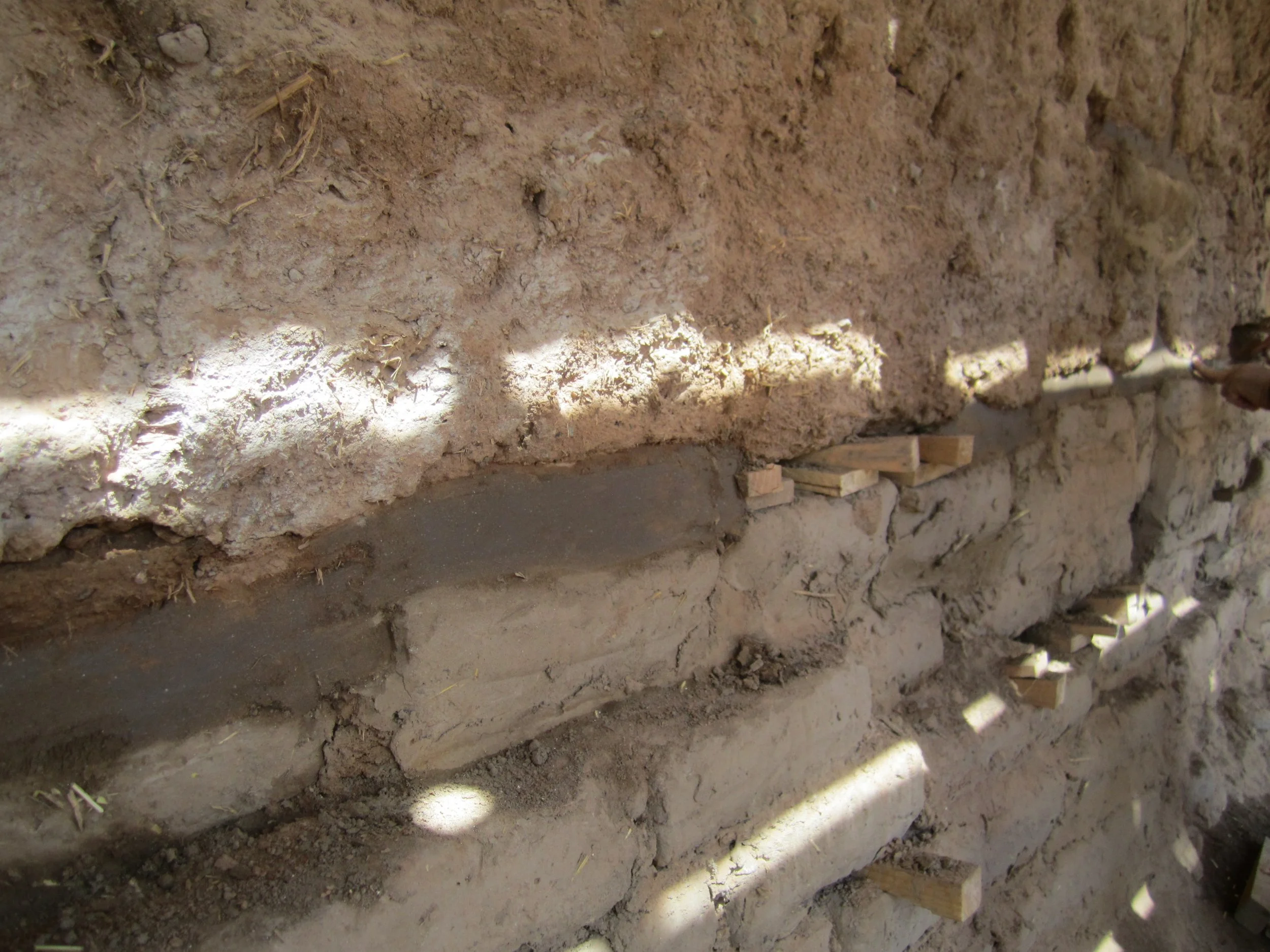 Palmerita IMG_2331.JPG