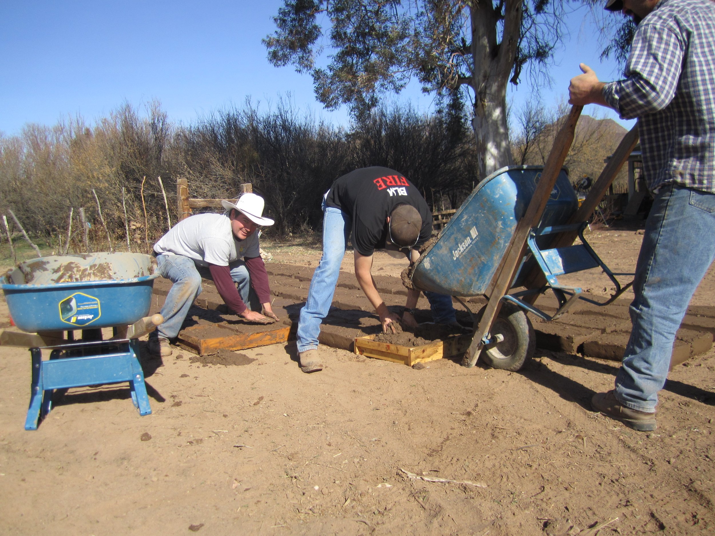 Palmerita  IMG_1850.JPG