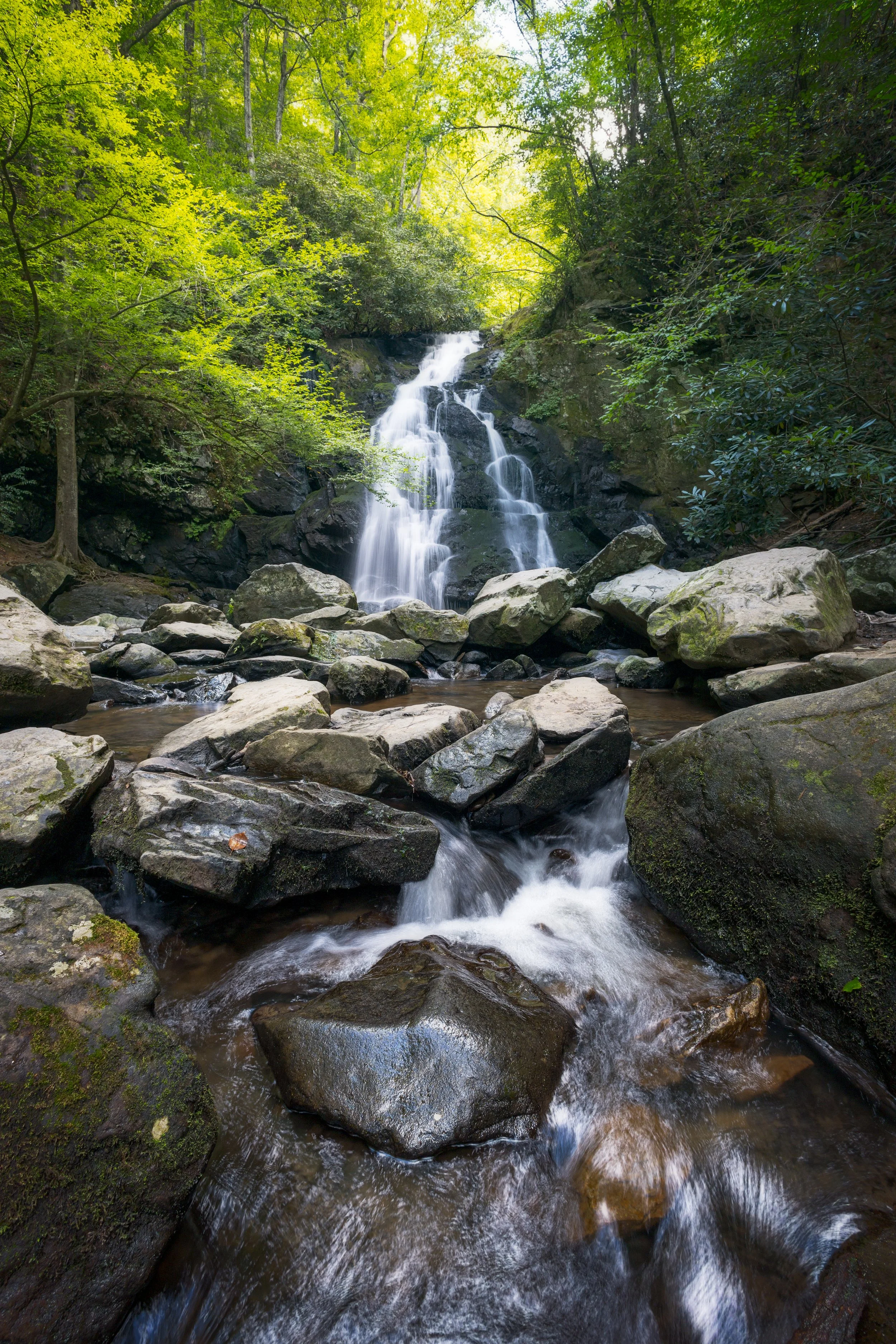 IMG_5981-Edit.jpg