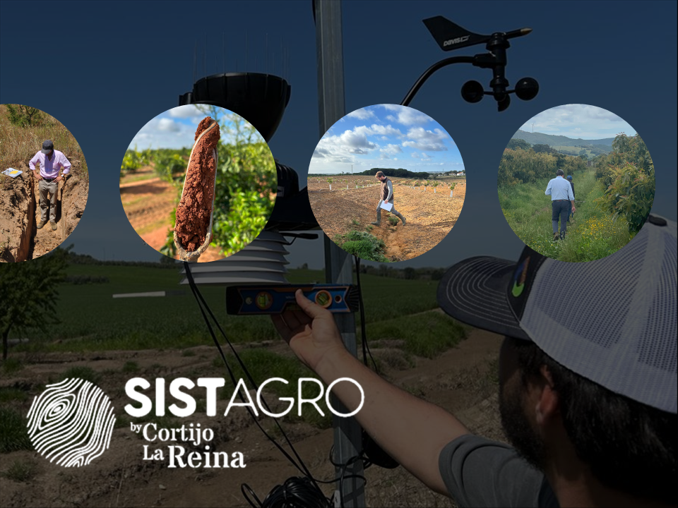 Summer in Iberia: a stress test for agronomy, an opportunity for us