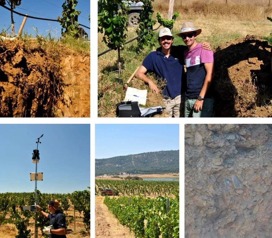 Web_Photo_Editor (2).jpg