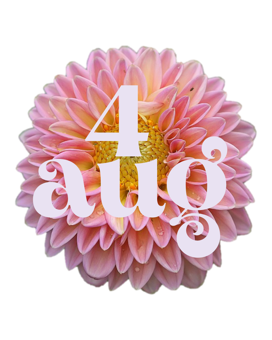 Yoga på Norrviken tisdag 4 augusti | ordinarie