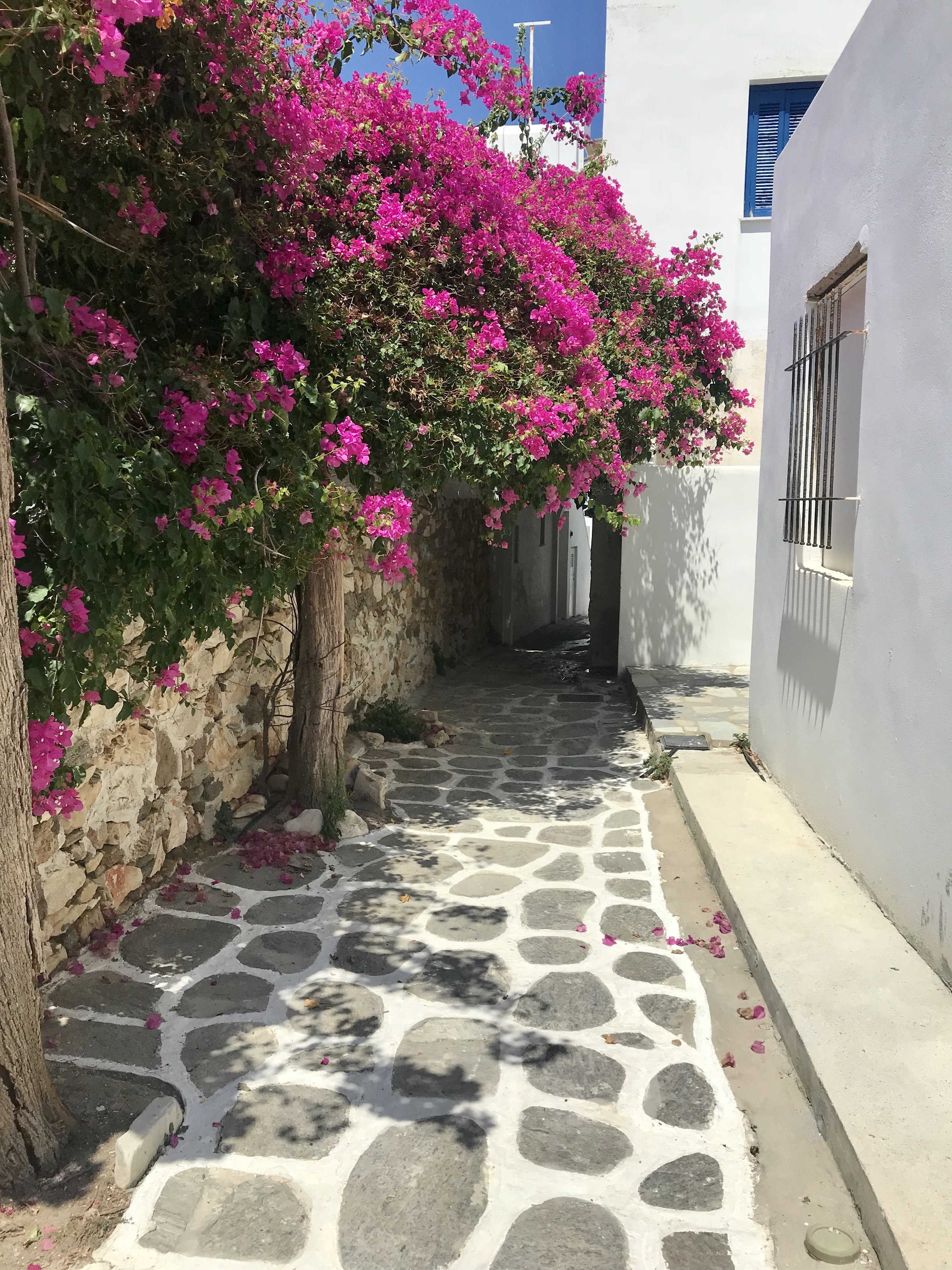 paros.jpg