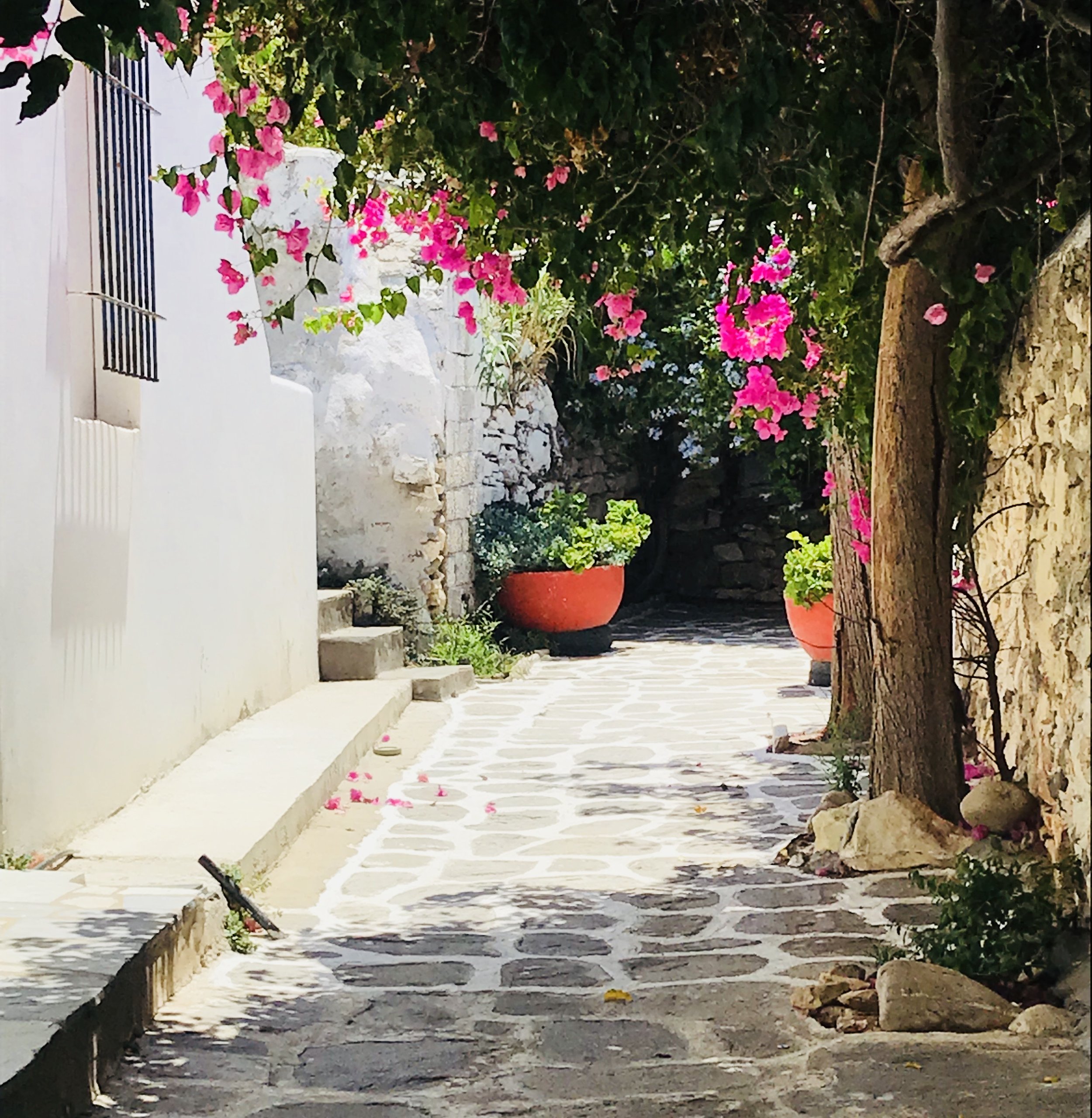 paros(4).jpg