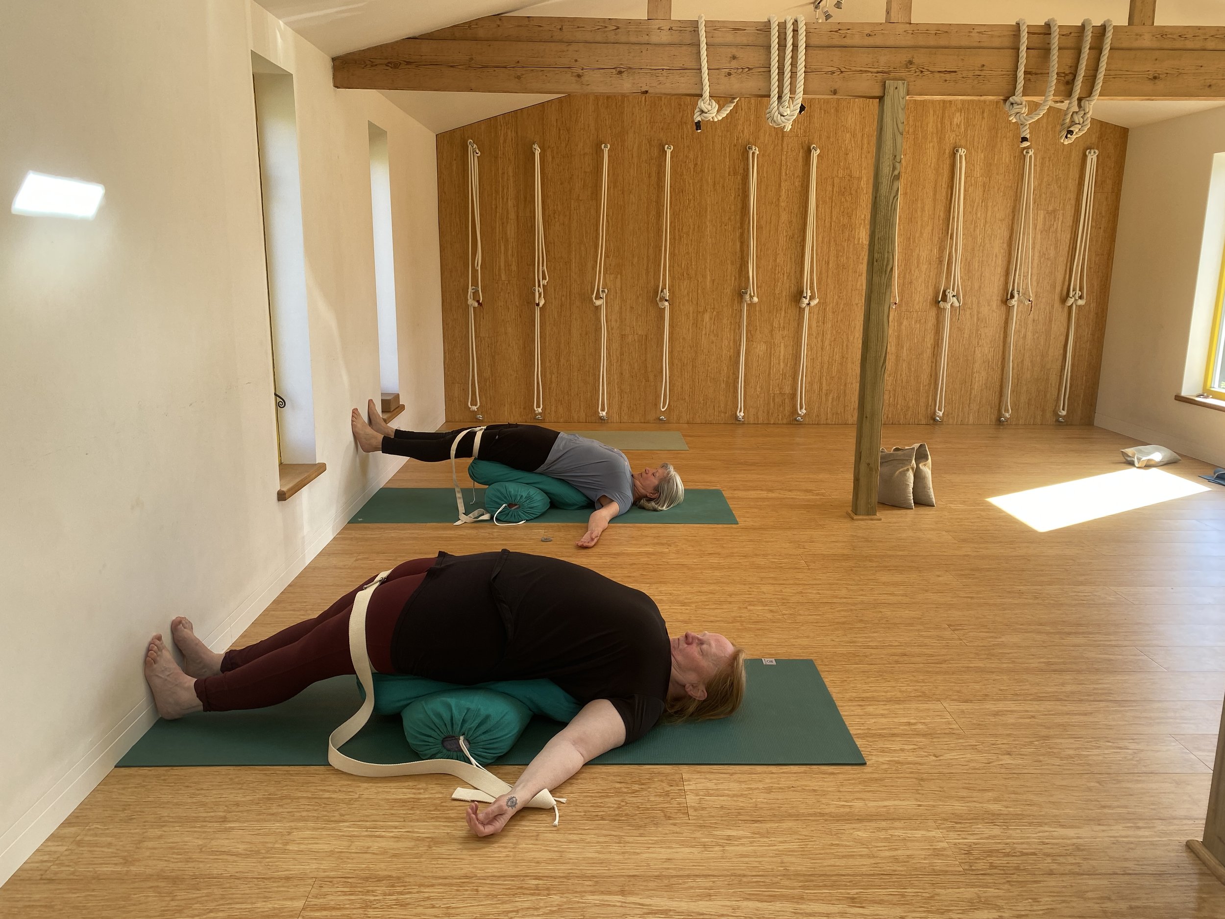 Forest Row Yoga, Sharpthorne Yoga, West Hoathly Yoga, Mid Sussex Yoga, Sussex Yoga,  Iyengar yoga, Yoga for young people. slower paced yoga, yoga for beginners, yoga for advanced students