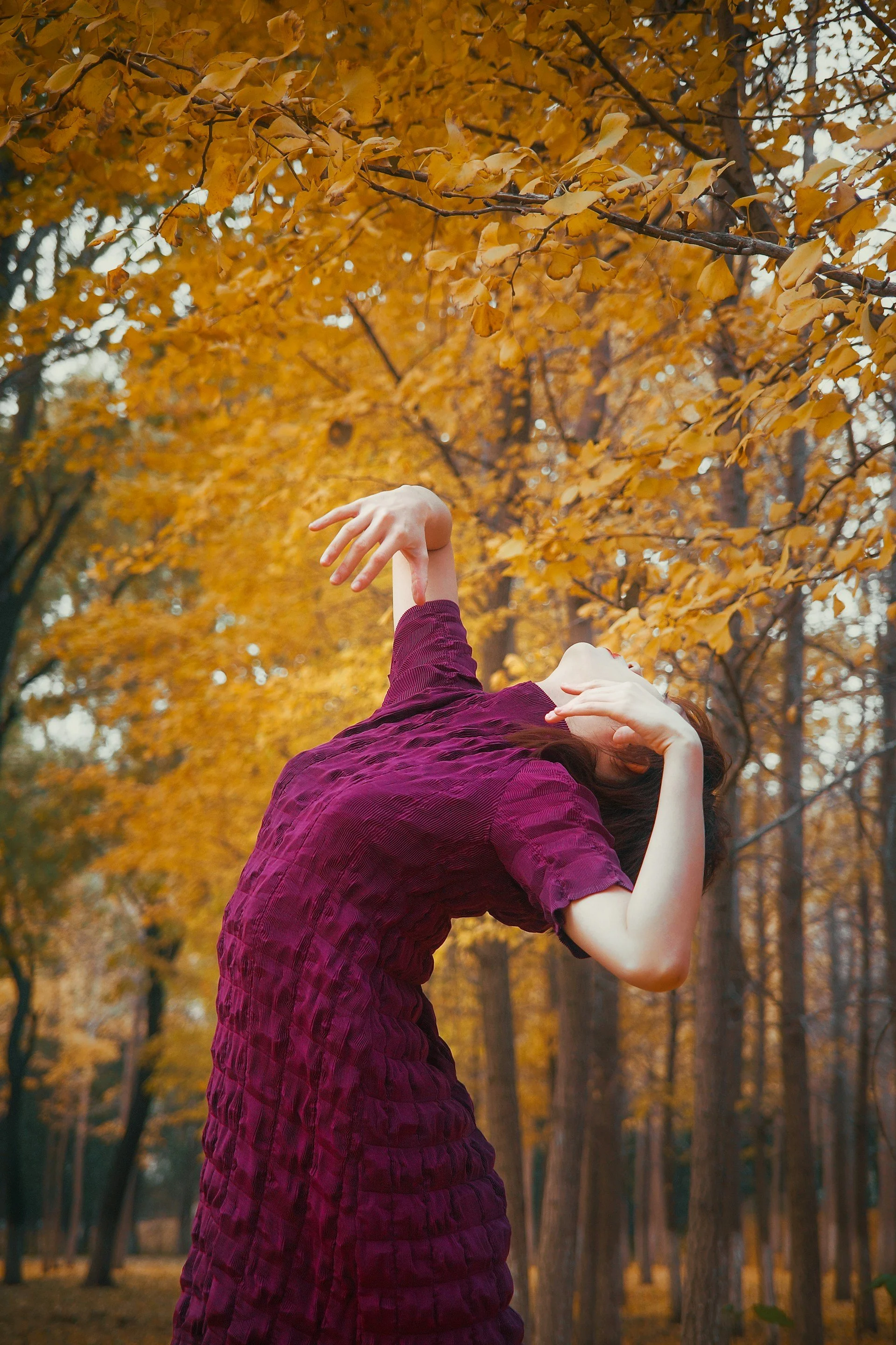 3 Key Ingredients for Sleep (and Sanity)