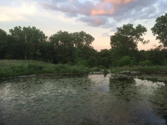 Silent Water