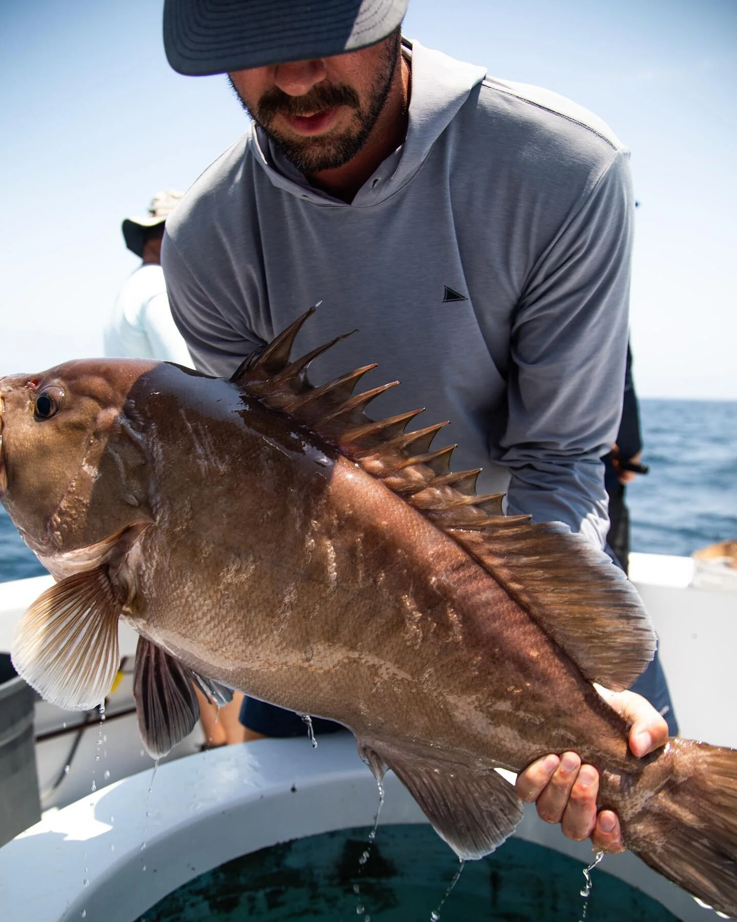 It&rsquo;s been  S N O W Y  in the Gulf of Mexico! ??
#wherethemalturnsblue #snowy #grouper #offshore