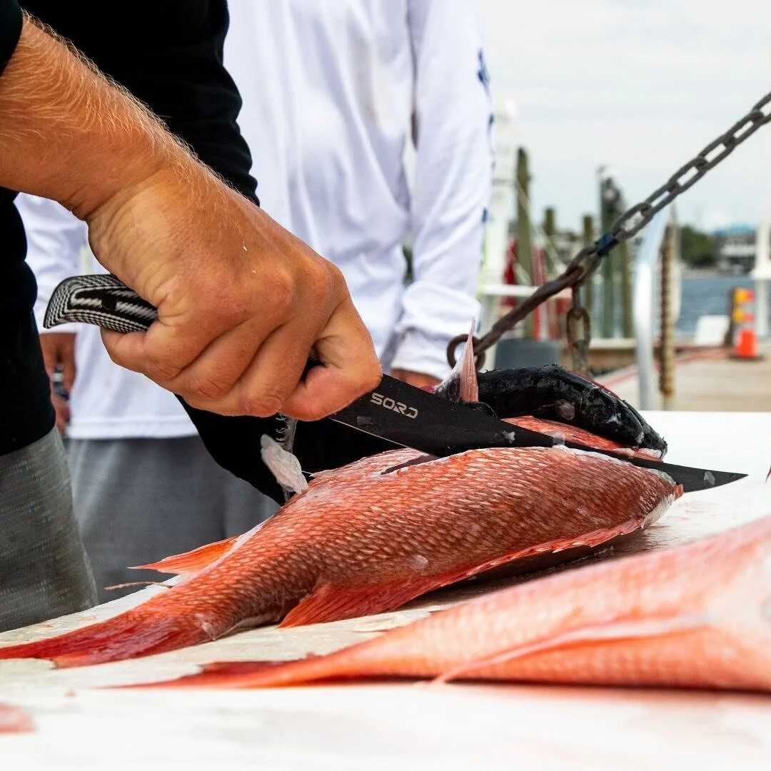 Our 9&rdquo; Flexy Fillet Knife making clean work of some red snapper.
&mdash;&mdash;&mdash;
All our knives are built to be abused, so we back them all with a lifetime warranty. No questions asked. 
#wherethemapturnsblue #fishing #offshore #knife
